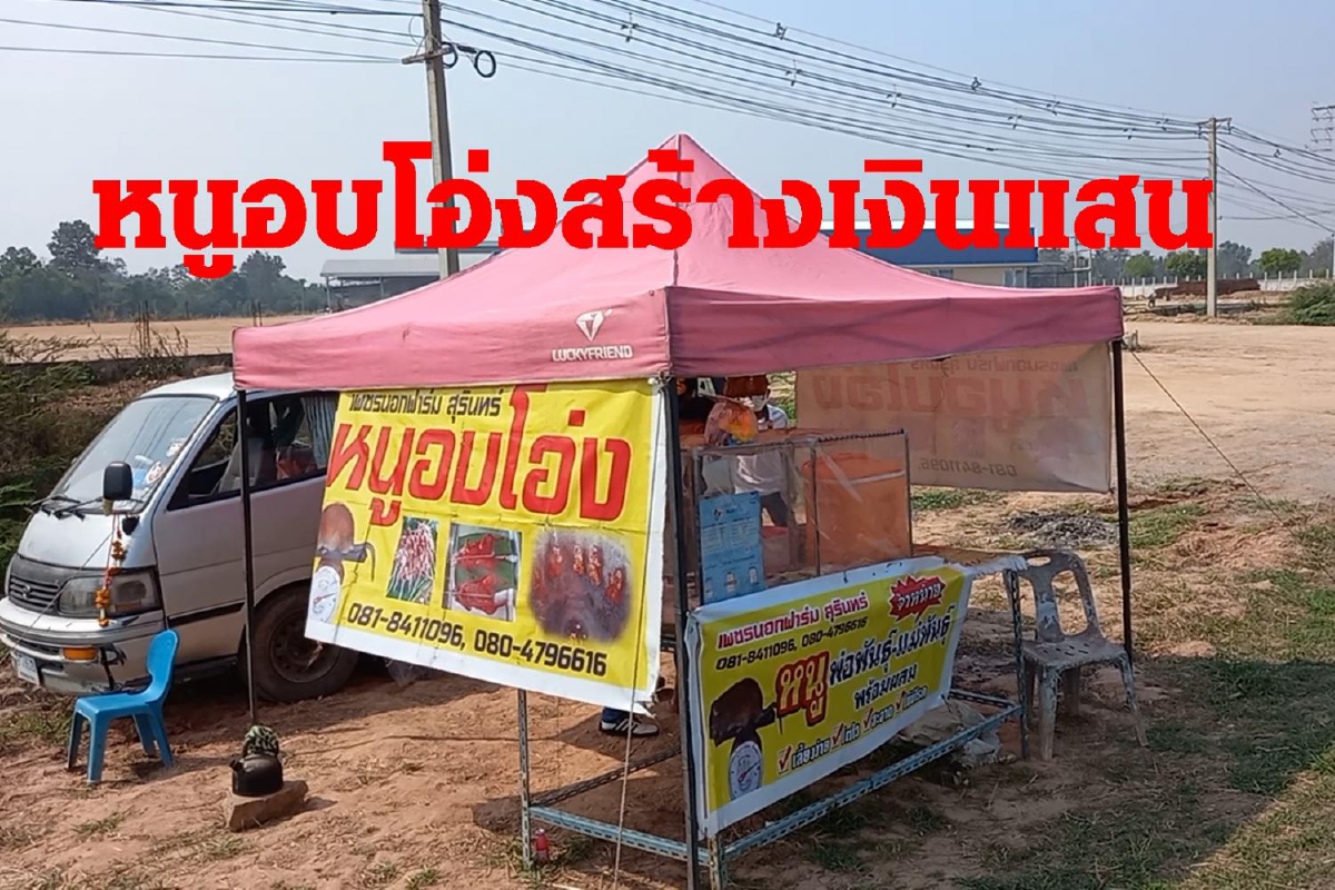 พลิกวิกฤตโควิดเลี้ยงหนูนาขายข้างทางสร้างเงินแสน พลิกวิกฤตโควิดเลี้ยงหนูนาขายข้างทางสร้างเงินแสน