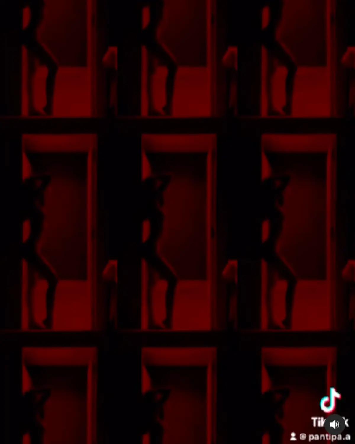 เซ็กซี่ไม่ไหวแล้ว! ปุ้มปุ้ย" ภรรยา “กวิน” เผยคลิประเบิดความฮอต "ถอดในที่มืด" เร่าร้อนมาก