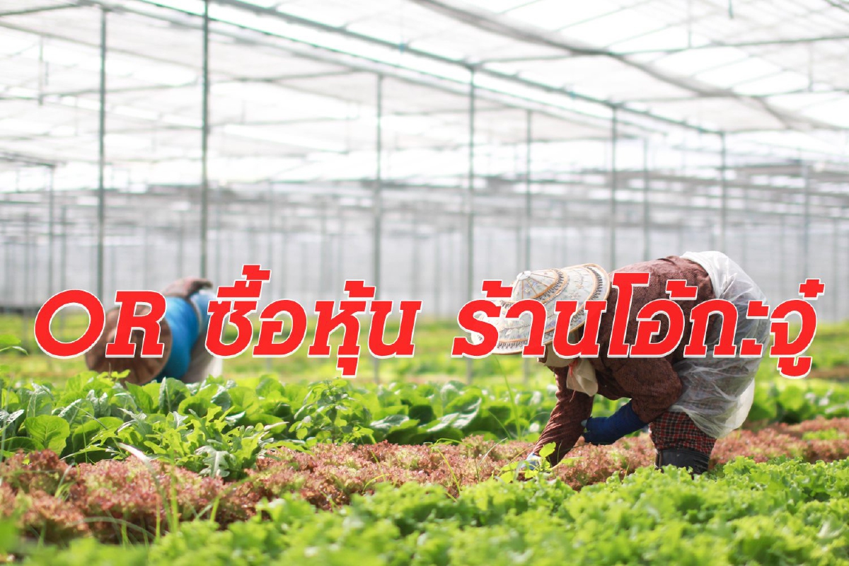 OR ดอดซื้อหุ้นร้าน “โอ้กะจู๋” ต่อยอดธุรกิจ ผุดสาขาในปั๊มปตท. OR ดอดซื้อหุ้นร้าน “โอ้กะจู๋” ต่อยอดธุรกิจ ผุดสาขาในปั๊มปตท.