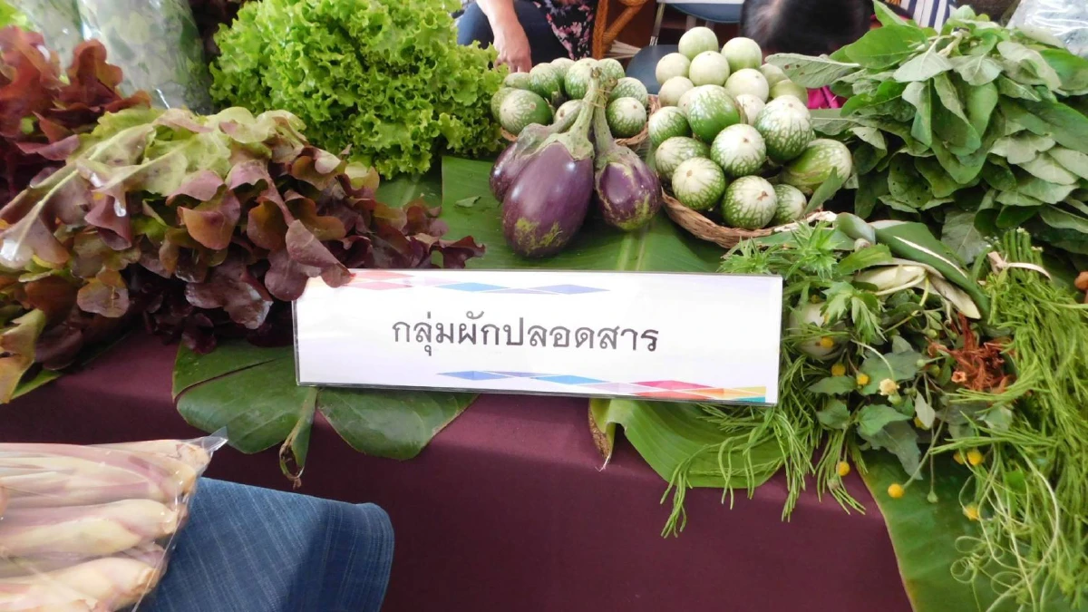 สรจ.พะเยา สัมมนาเครือข่ายแรงงานนอกระบบภาคเกษตร สร้างความมั่นคง พัฒนาคุณภาพชีวิต