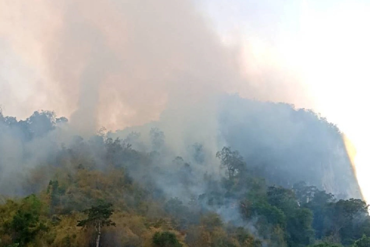 ผู้ว่าฯสุราษฎร์สั่งเฝ้าระวังไฟไหม้ป่าบนเขาพนม24ชม.