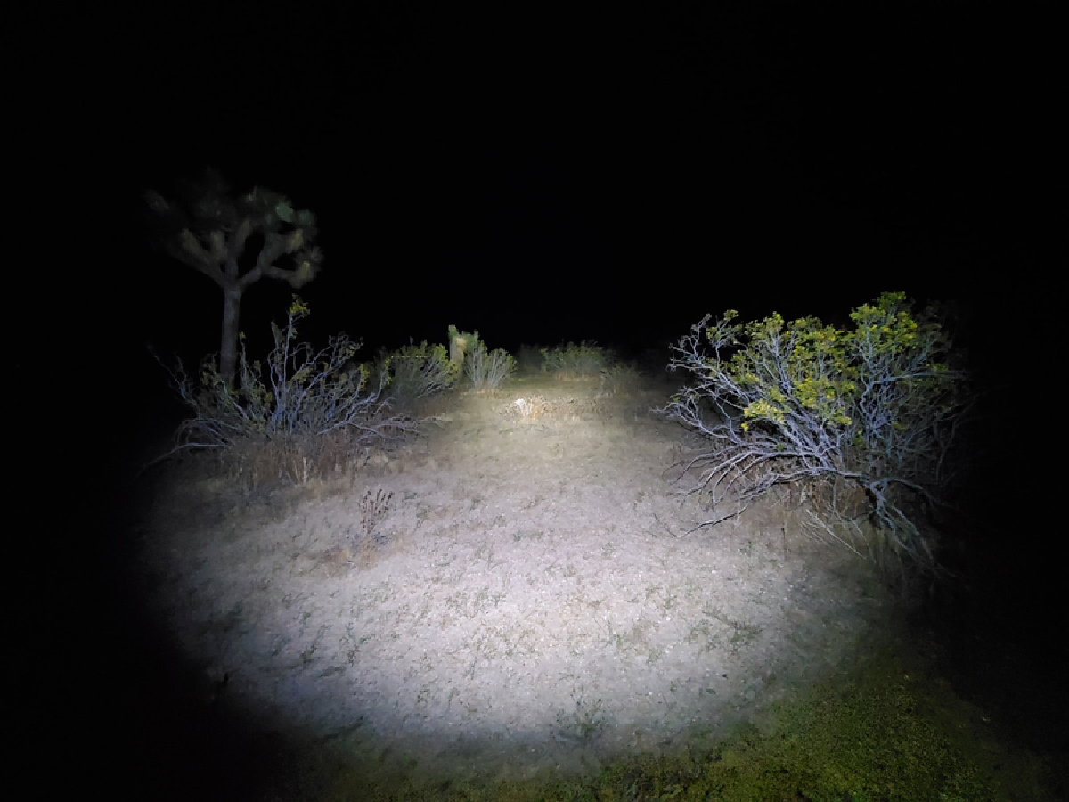 คนเลี้ยงมด “กานต์ รมยาสัย” สิ่งมีชีวิตตัวเล็กๆ ที่สร้างสุขและเงินให้มนุษย์