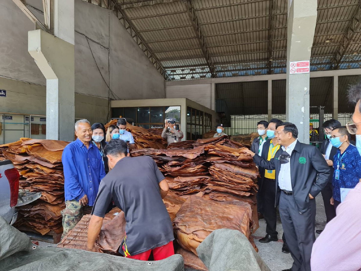 เกษตรฯเล็งปั้นนครศรีธรรมราชเป็นฮับอุตสาหกรรมยางแห่งอาเซียน เกษตรฯเล็งปั้นนครศรีธรรมราชเป็นฮับอุตสาหกรรมยางแห่งอาเซียน