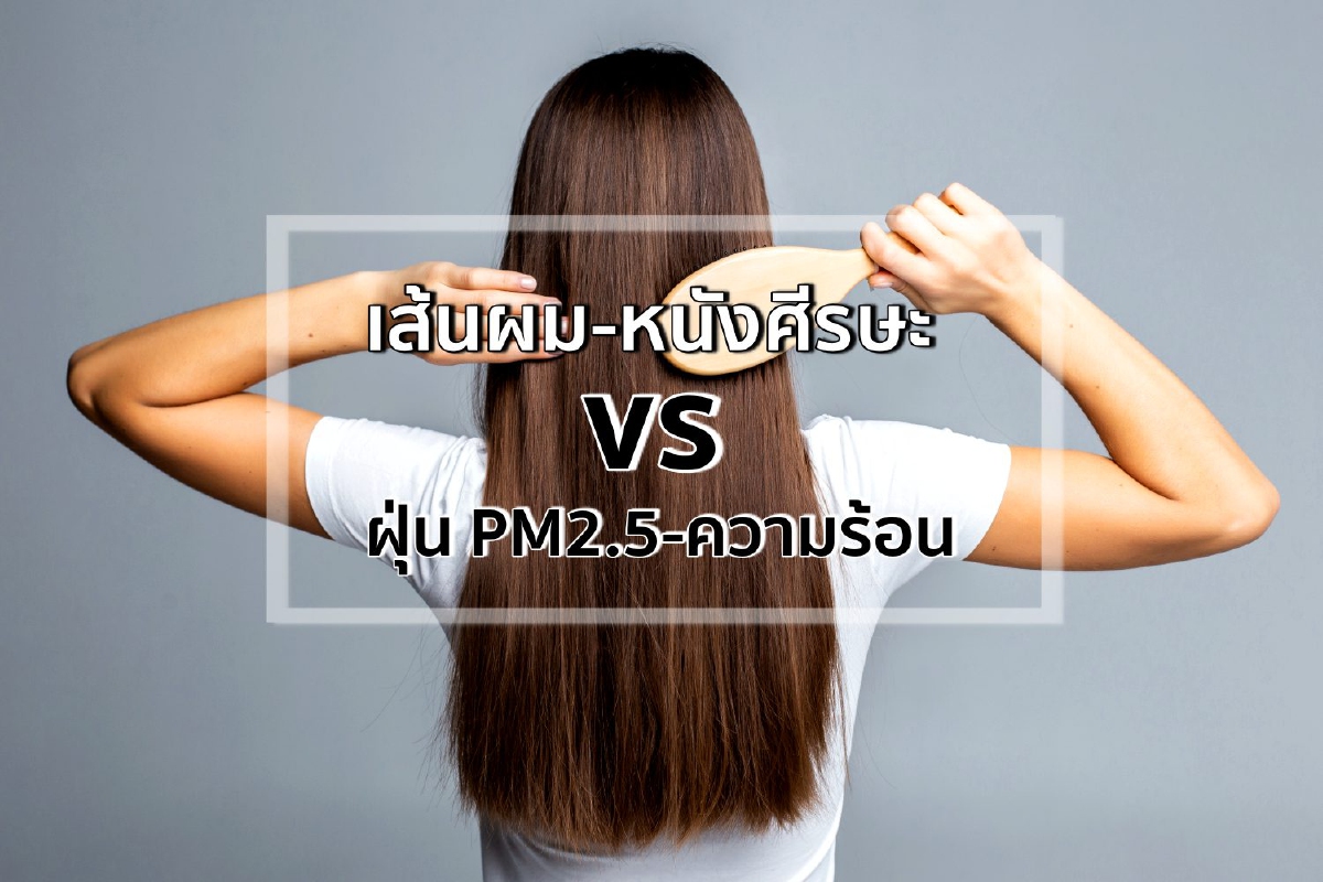 เส้นผม-หนังศีรษะ vs ฝุ่น PM2.5-ความร้อน เส้นผม-หนังศีรษะ vs ฝุ่น PM2.5-ความร้อน