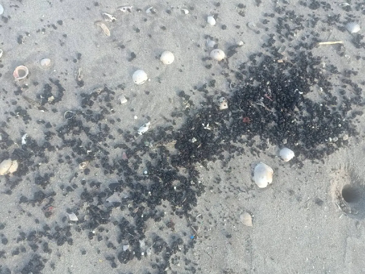 ก้อนน้ำมันเกลื่อนชายหาดหัวไทรชาวบ้านโวยรัฐไม่เคยมีคำตอบให้