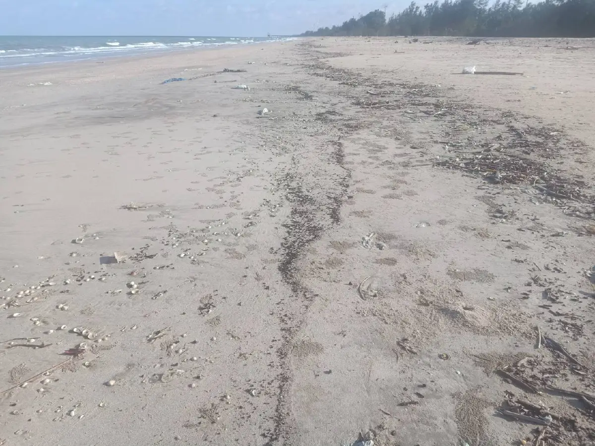 ก้อนน้ำมันเกลื่อนชายหาดหัวไทรชาวบ้านโวยรัฐไม่เคยมีคำตอบให้