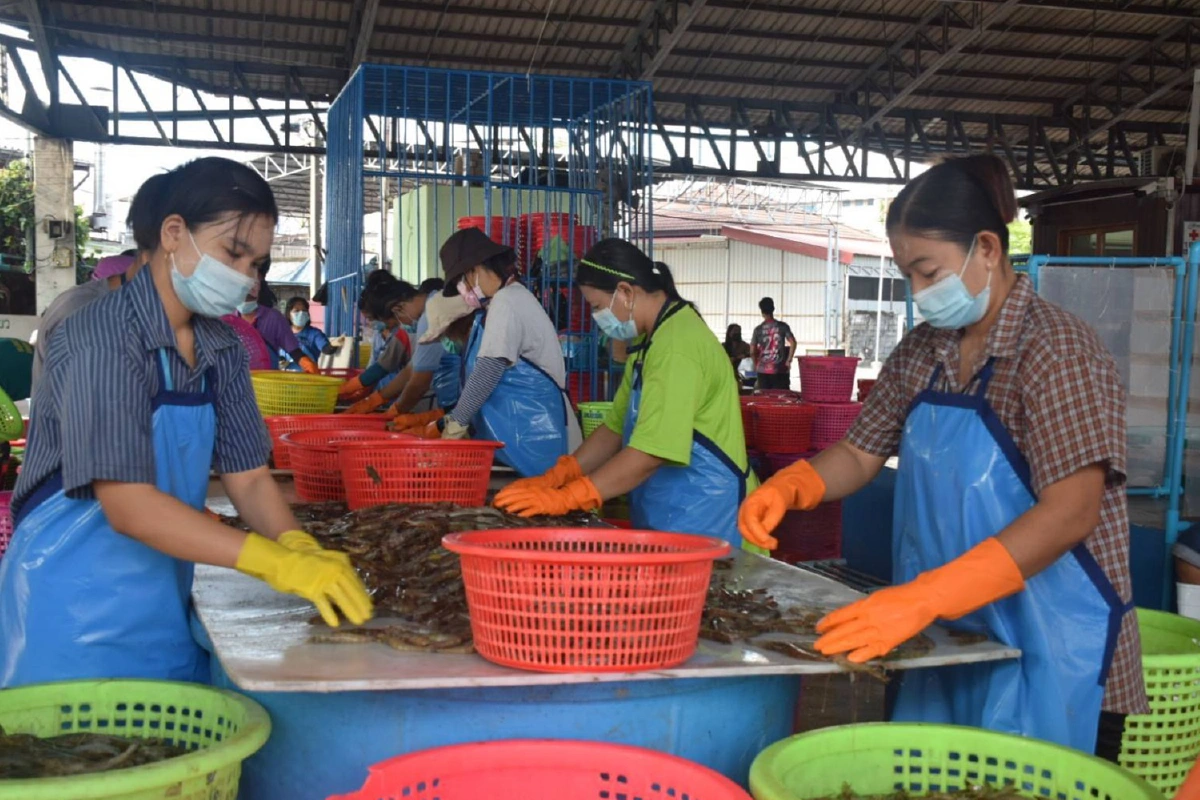 "อลงกรณ์"ตรวจตลาดกลางกุ้งสมุทรสาครปลื้มมาตรการคุมโควิด-19