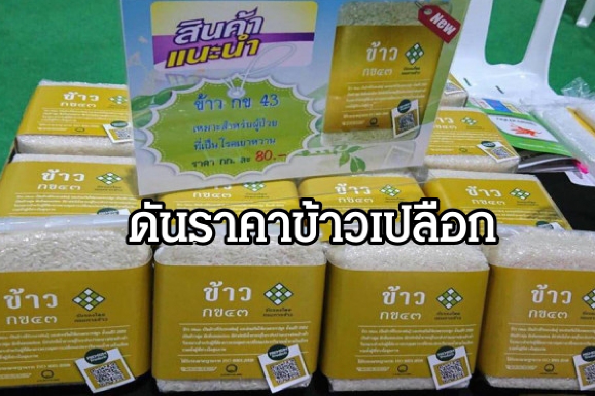ชวนคนกรุงเทพฯ ดันราคาข้าวเปลือกชาวนา อุดหนุนข้าวสารคุณภาพดี ชวนคนกรุงเทพฯ ดันราคาข้าวเปลือกชาวนา อุดหนุนข้าวสารคุณภาพดี