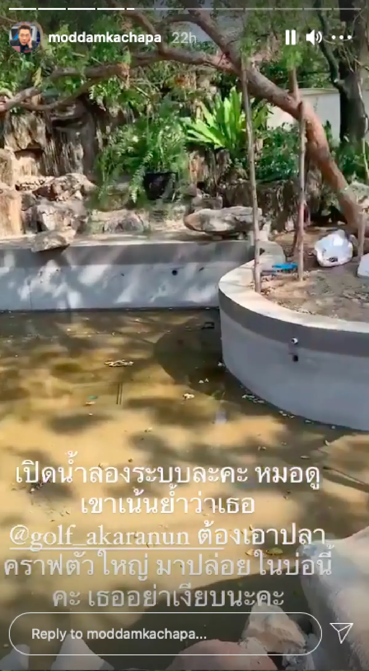 "มดดำ" พาชมบ้านหรูริมน้ำที่กำลังรีโนเวท แค่บ่อปลาก็อลังการงานสร้างมาก