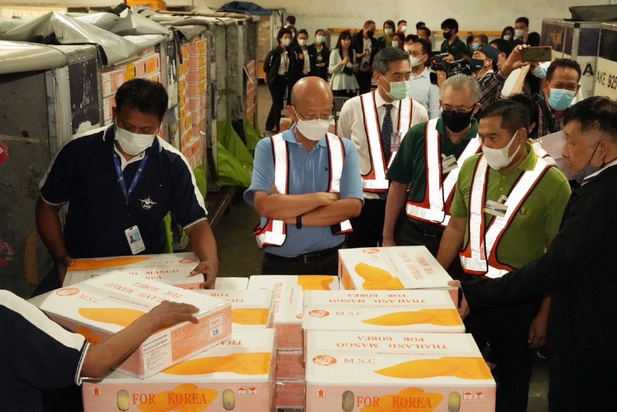 กระทรวงพาณิชย์ จับมือ กระทรวงเกษตรฯ  การบินไทย เปิดตัวส่งออก “มะม่วงน้ำดอกไม้”  ประเดิมล็อตแรกไปเกาหลีใต้