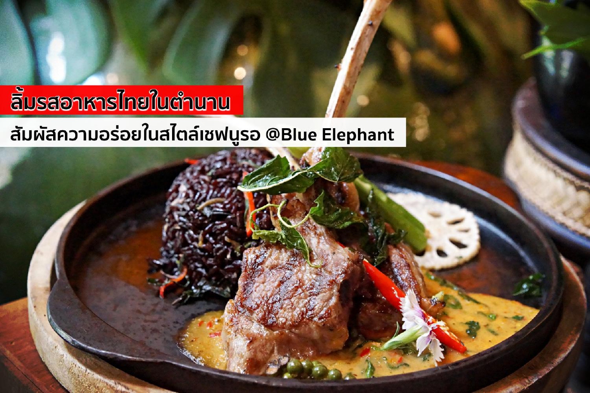 ลิ้มรสอาหารไทยในตำนาน สัมผัสความอร่อยในสไตล์เชฟนูรอ @Blue Elephant ลิ้มรสอาหารไทยในตำนาน สัมผัสความอร่อยในสไตล์เชฟนูรอ @Blue Elephant