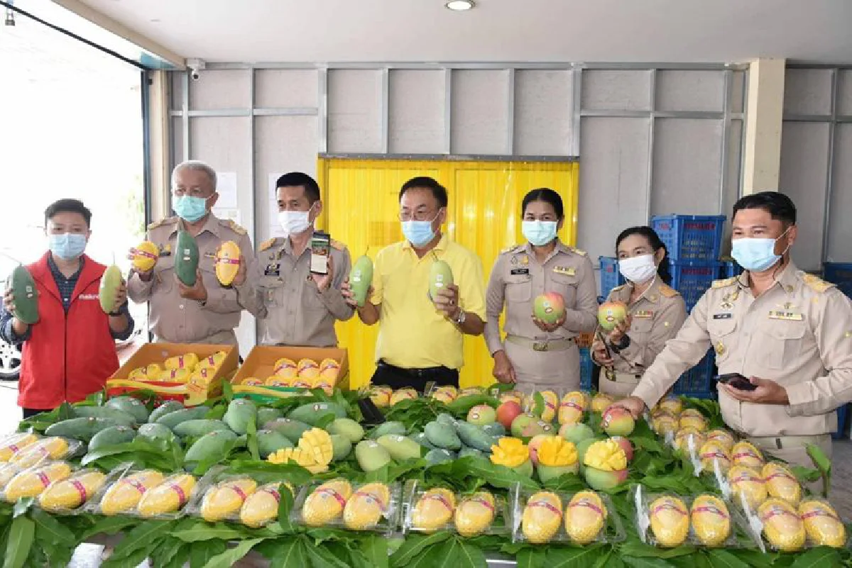 ดึงแมคโคร-โลตัส รับซื้อพืชผักผลไม้ล้นตลาด ช่วยเกษตรกร