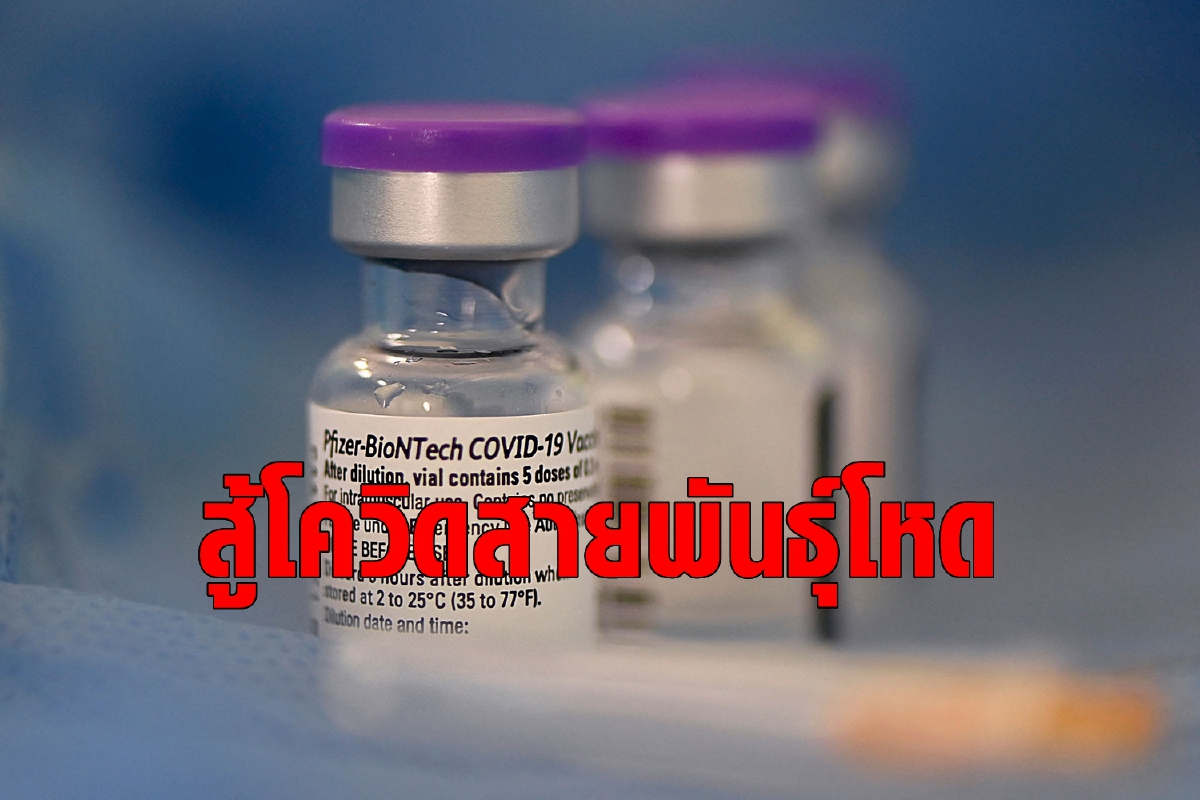 วิจัยชี้วัคซีนไฟเซอร์ป้องกันไวรัสสายพันธุ์โหดในบราซิล วิจัยชี้วัคซีนไฟเซอร์ป้องกันไวรัสสายพันธุ์โหดในบราซิล
