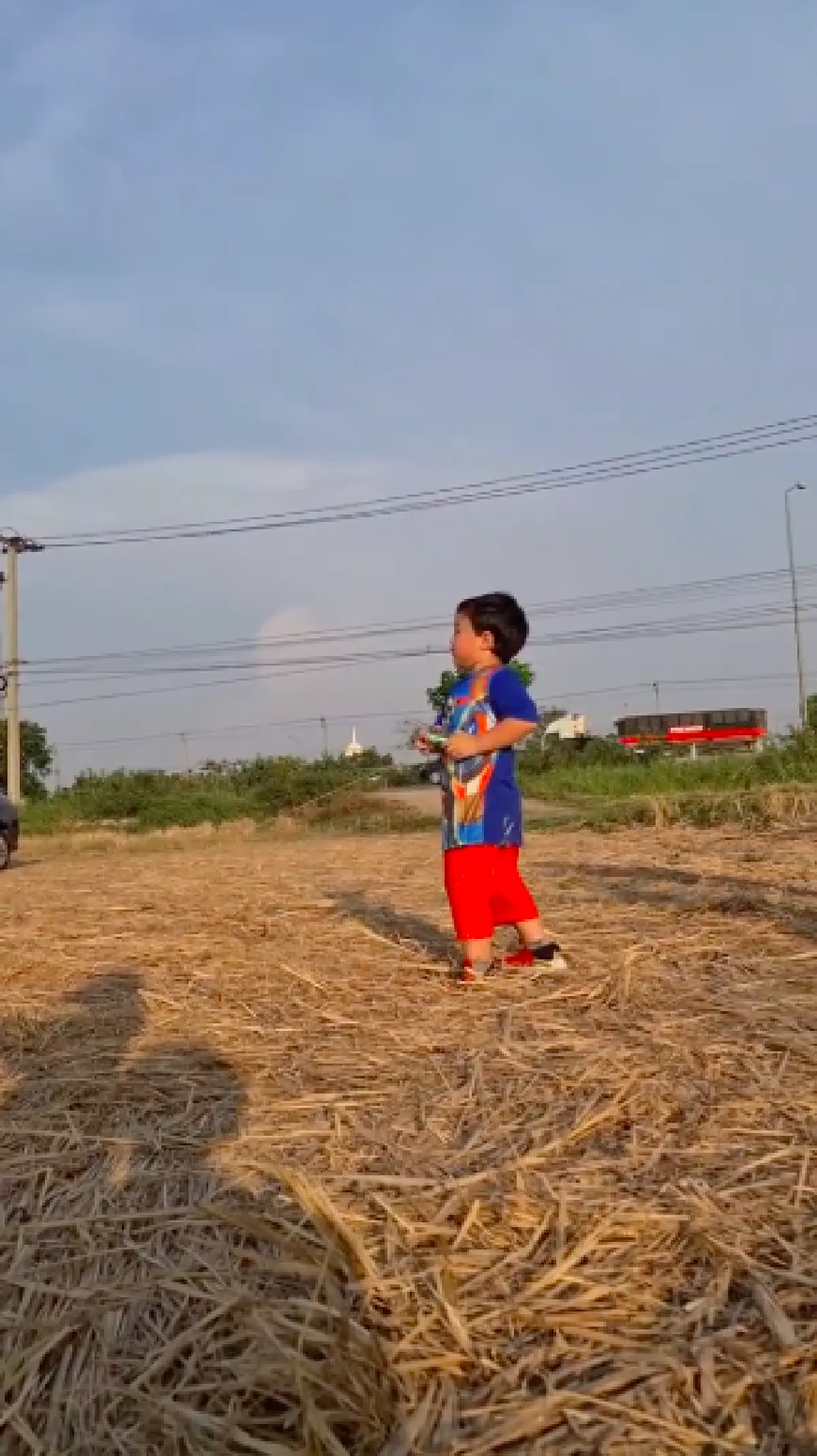 "ชมพู่" พา "สายฟ้า-พายุ" ตะลุยทุ่งนา เล่นว่าวกันอย่างสนุกสนาน