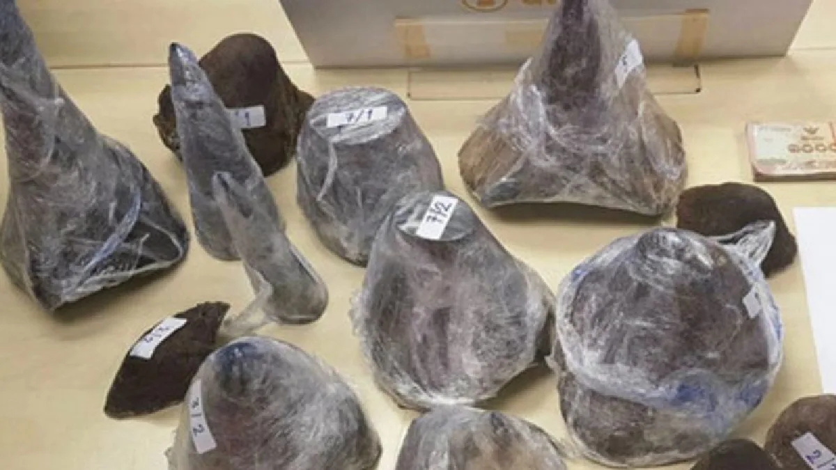 ปปง.ยึดทรัพย์"บุญชัย แบกส์"แก๊งลักเสือสวนสัตว์พบเงินหมุนเวียนกว่า330ล้าน