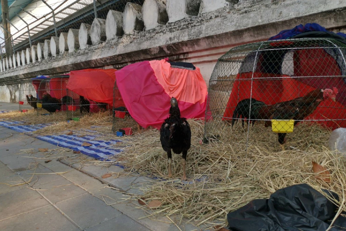 "ม็อบทะลุฟ้า"ดึงนักวิชาการ-นักเคลื่อนไหวชั้นนำร่วมเสวนาหน้าทำเนียบฯ