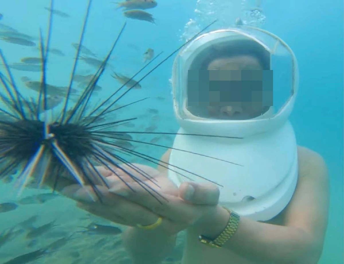 วราวุธสั่งจับเรือSea Walkerพัทยา-นักท่องเที่ยวเจอข้อหาทำลายปะการัง 