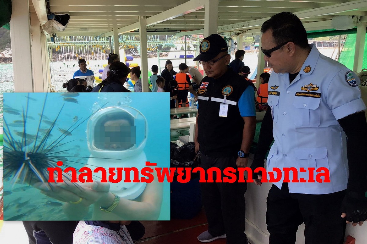วราวุธสั่งจับเรือSea Walkerพัทยา-นักท่องเที่ยวเจอข้อหาทำลายปะการัง วราวุธสั่งจับเรือSea Walkerพัทยา-นักท่องเที่ยวเจอข้อหาทำลายปะการัง