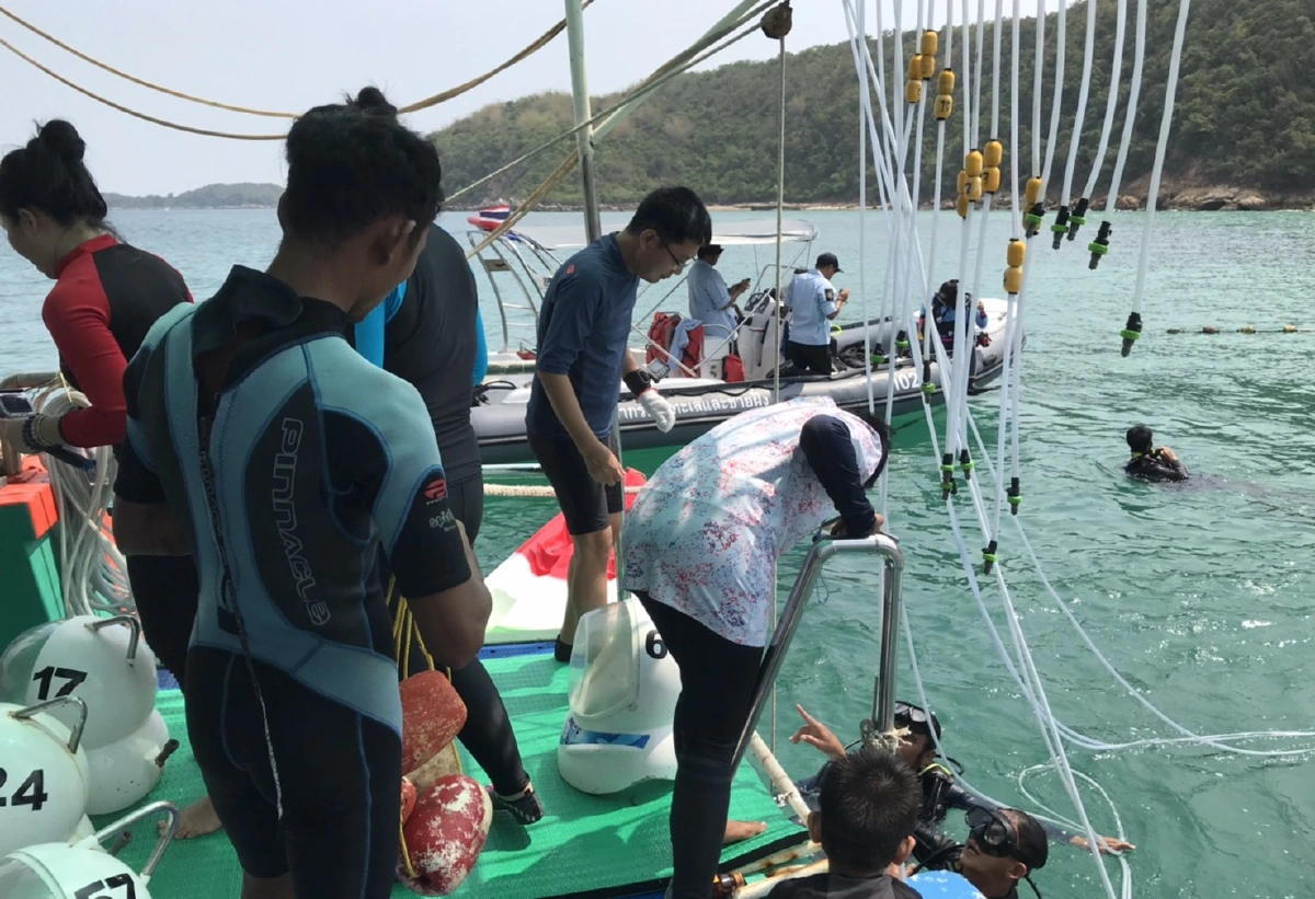 วราวุธสั่งจับเรือSea Walkerพัทยา-นักท่องเที่ยวเจอข้อหาทำลายปะการัง 