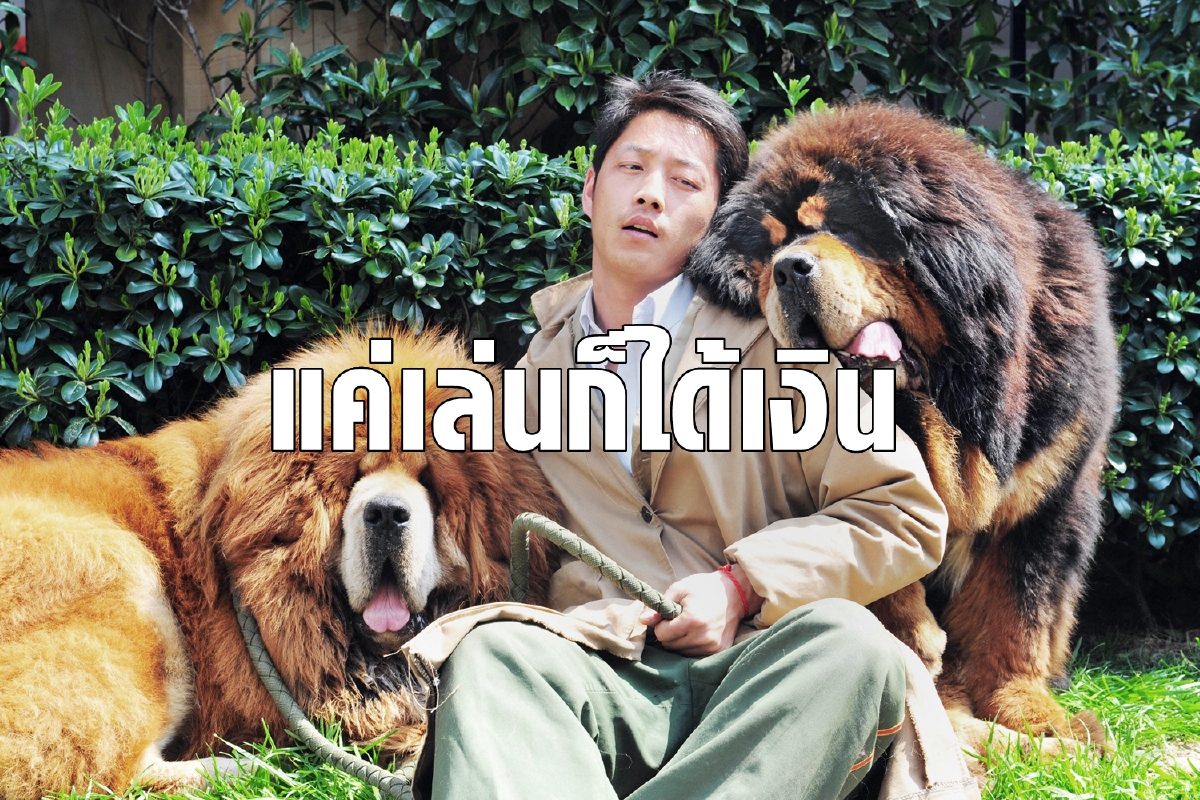 เล่นกับสัตว์อย่างไรให้โกยเงินหลักแสนต่อเดือน เล่นกับสัตว์อย่างไรให้โกยเงินหลักแสนต่อเดือน