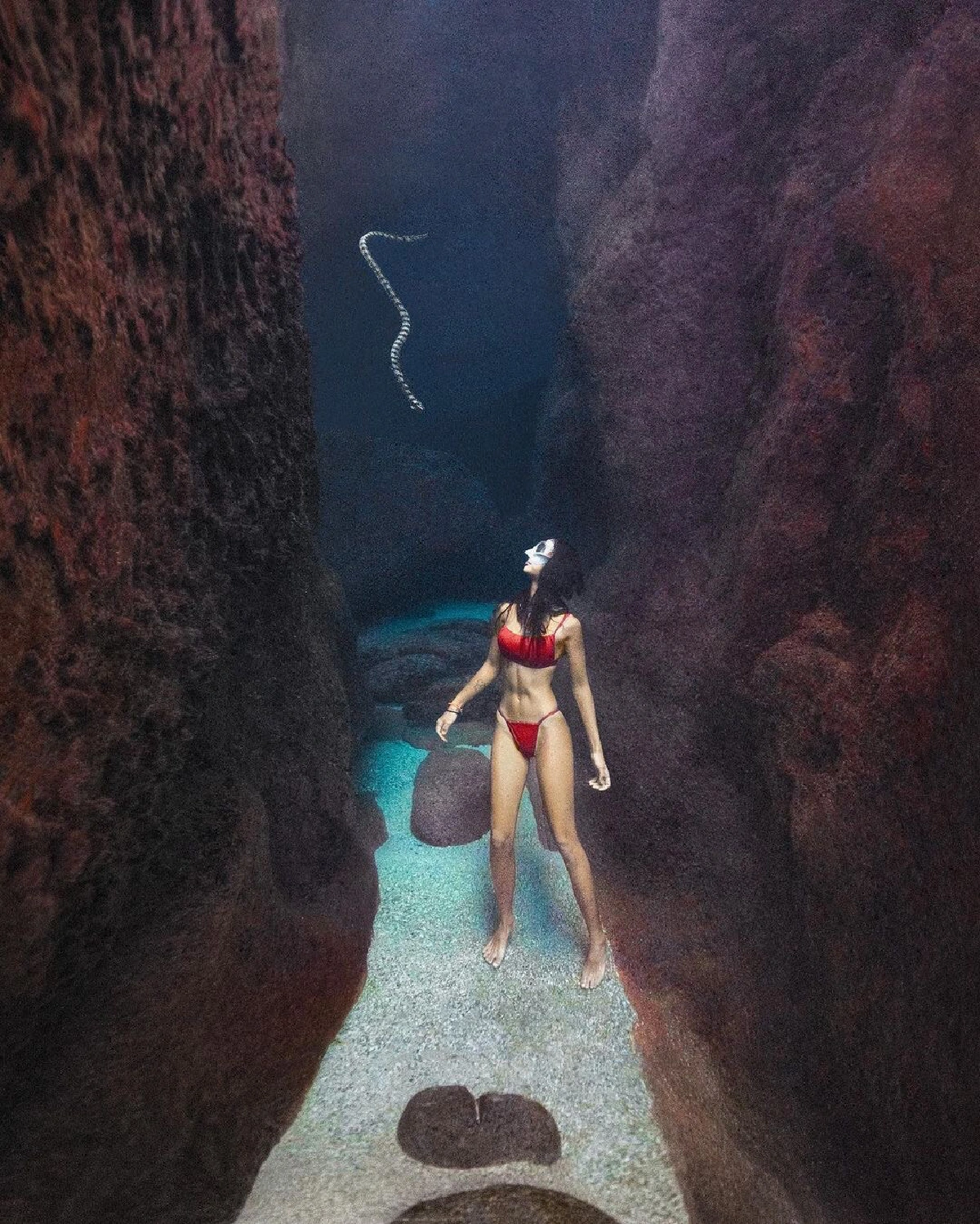 ช็อตนี้มันปัง! นท พนายางกูร ถ่ายภาพใต้น้ำทำเอาคนโฟกัสไม่ถูก