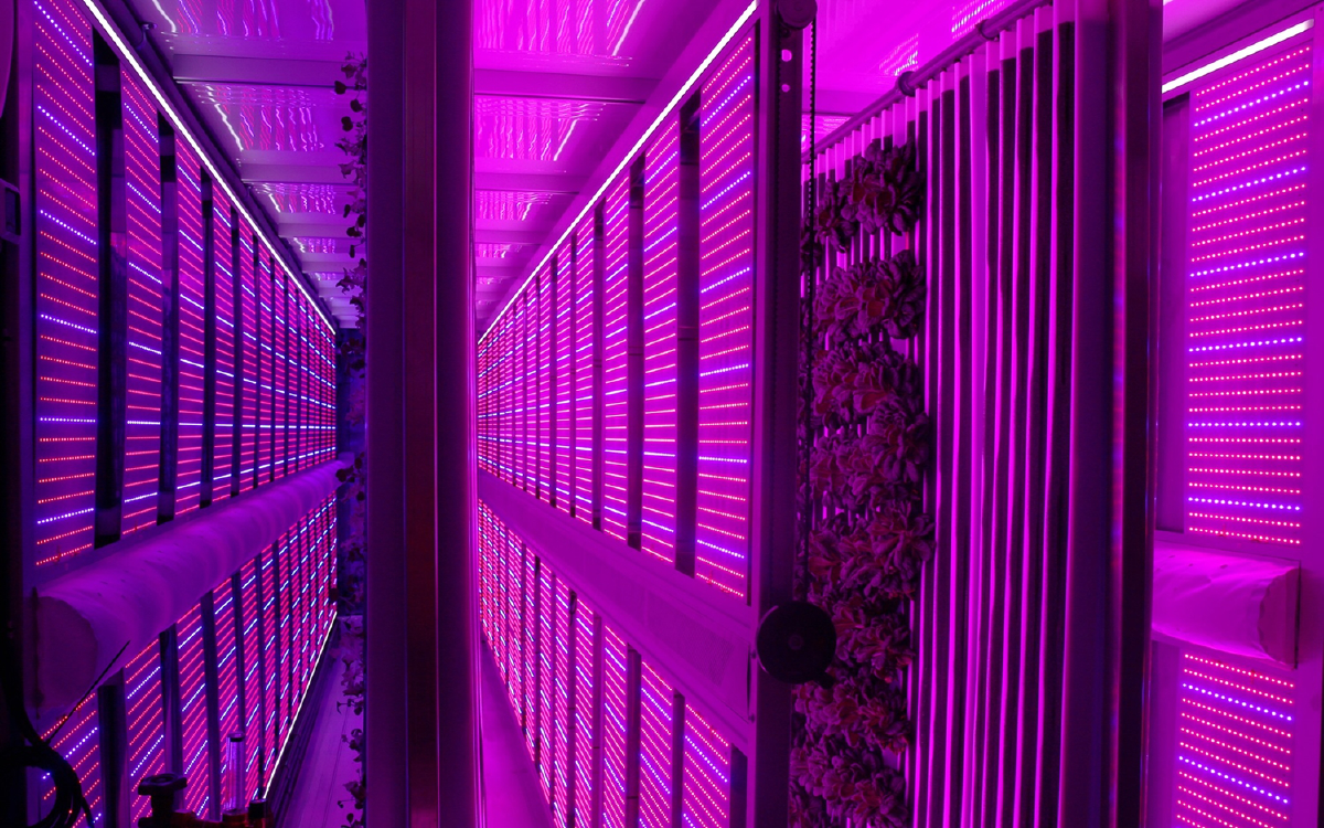 Freight Farms จากตู้คอนเทนเนอร์สู่ฟาร์มบิ๊กดาต้า