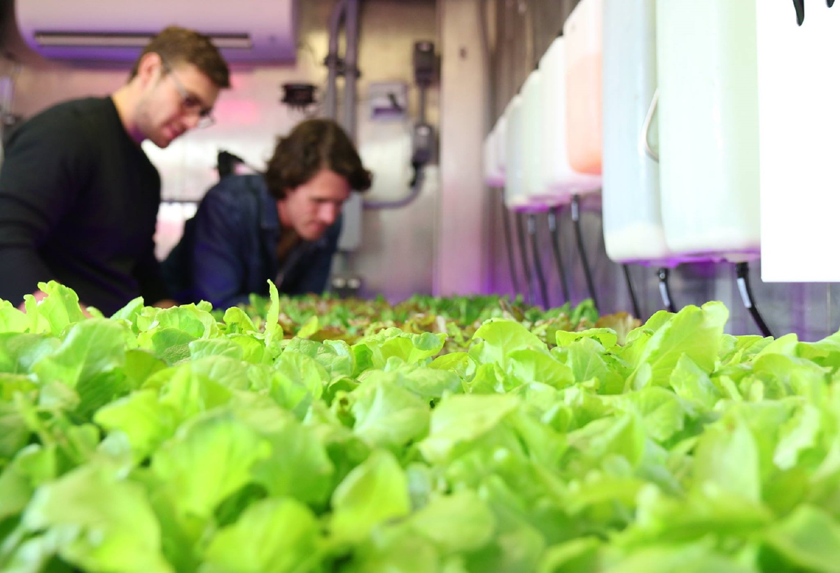 Freight Farms จากตู้คอนเทนเนอร์สู่ฟาร์มบิ๊กดาต้า