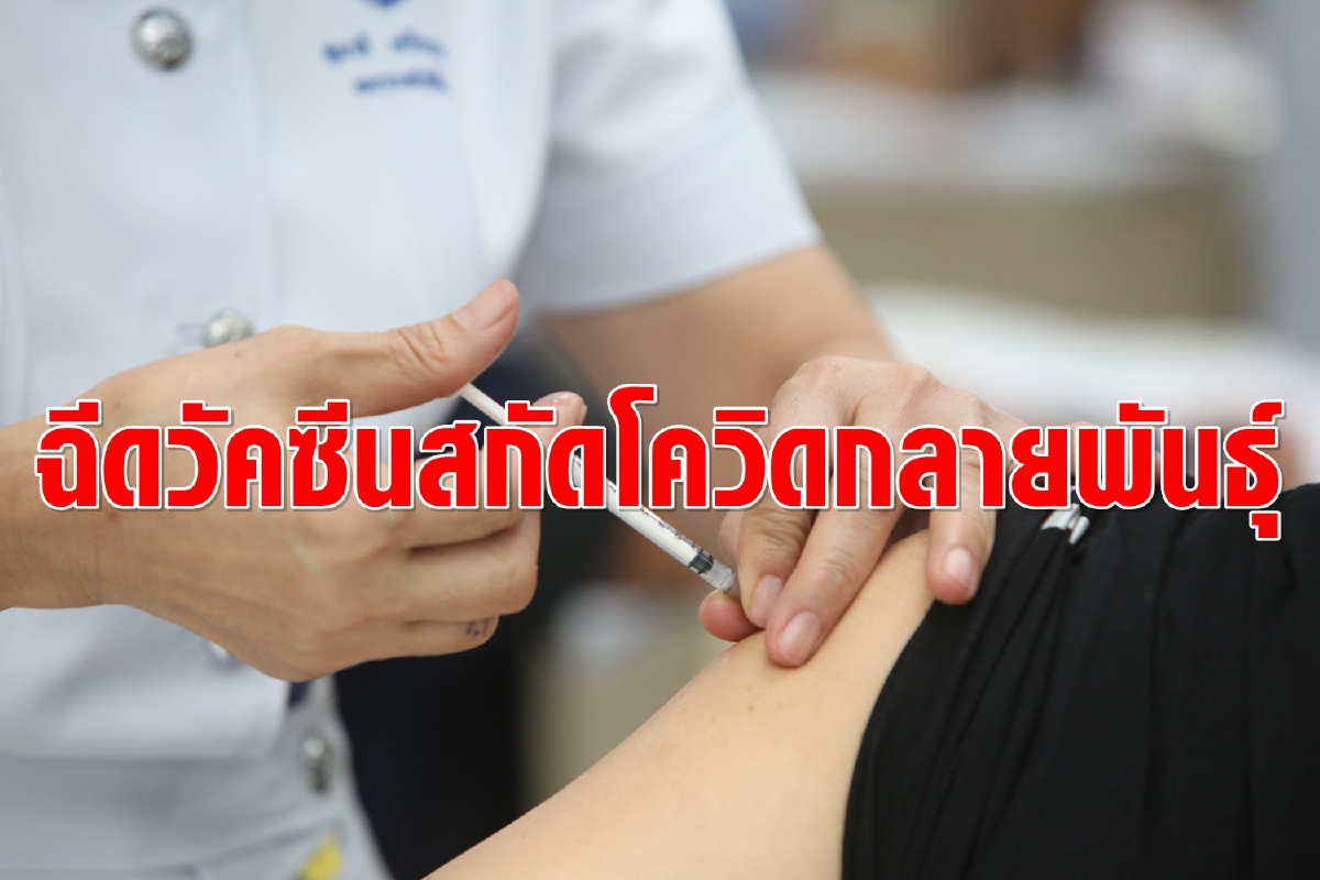 แพทย์ชี้ไวรัสโควิดกลายพันธุ์ต่อเนื่อง แนะเร่งฉีดวัคซีนเพื่อสกัดการระบาด แพทย์ชี้ไวรัสโควิดกลายพันธุ์ต่อเนื่อง แนะเร่งฉีดวัคซีนเพื่อสกัดการระบาด