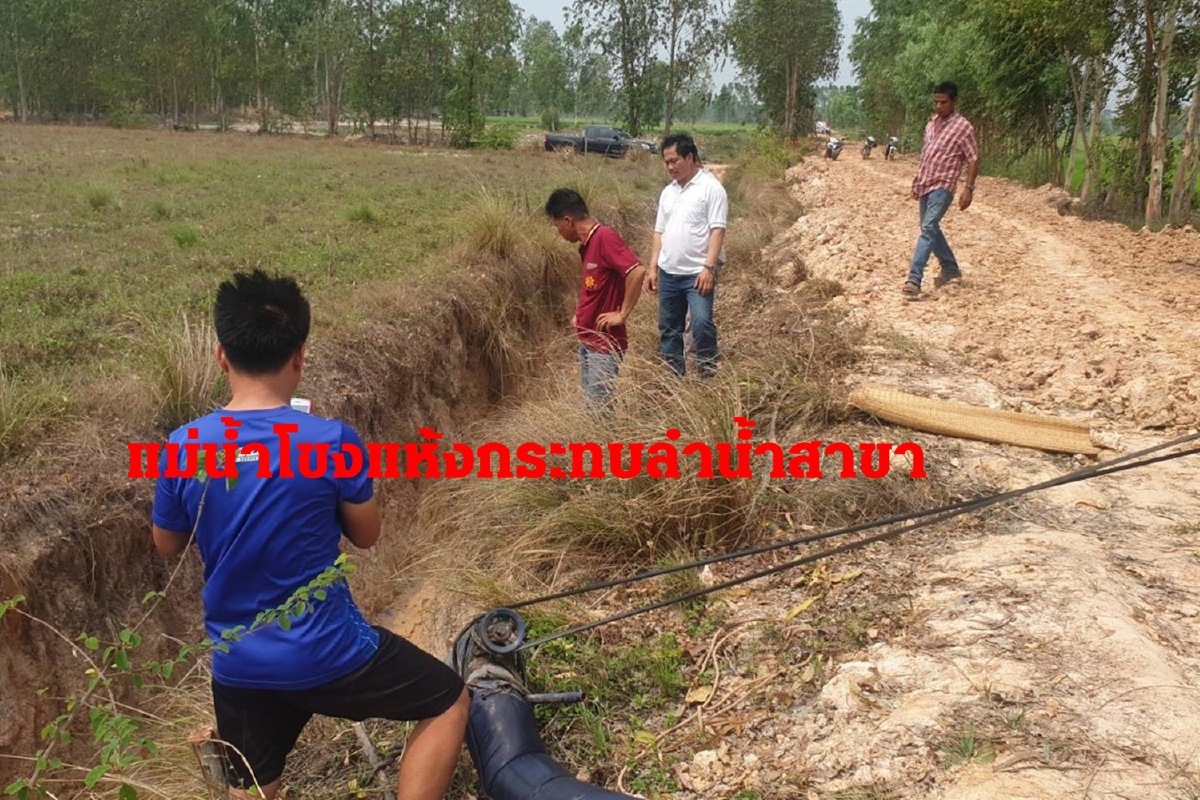 แม่น้ำโขงแห้งกระทบลำน้ำสาขานาปรังกว่า 300ไร่นครพนมเสียหาย แม่น้ำโขงแห้งกระทบลำน้ำสาขานาปรังกว่า 300ไร่นครพนมเสียหาย