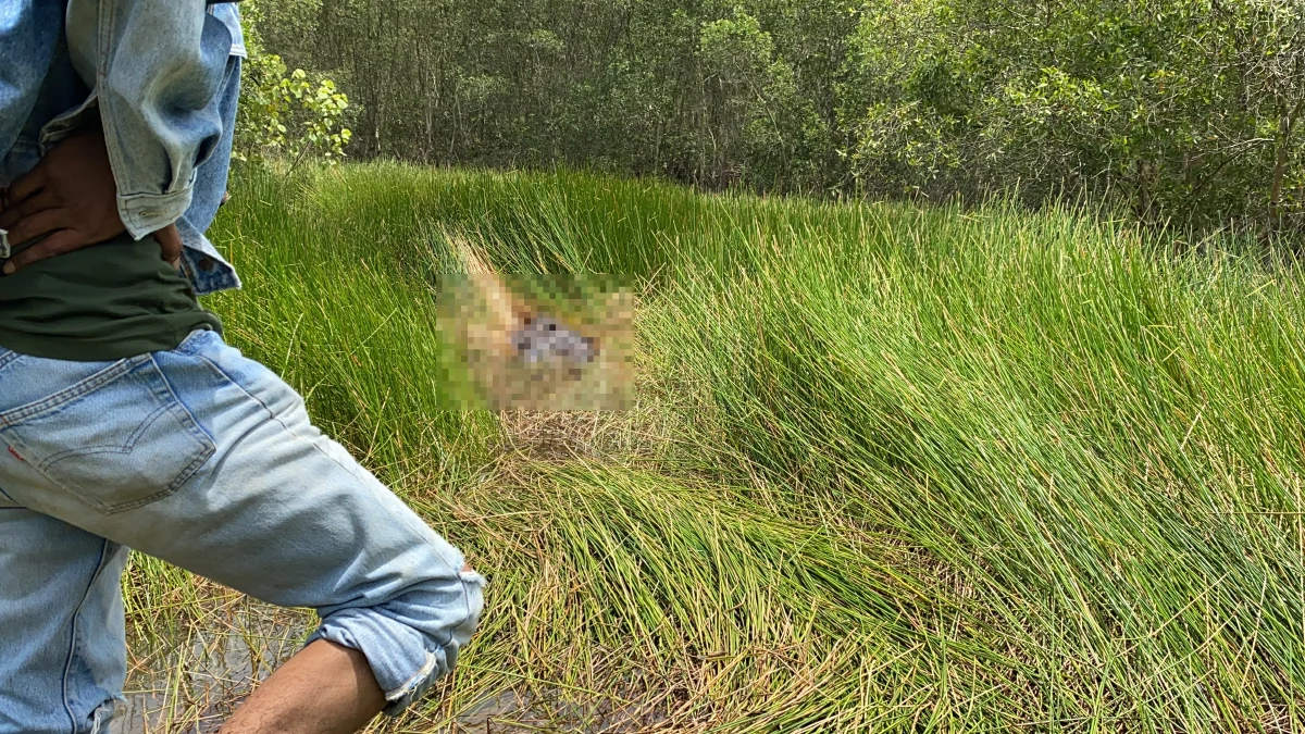 ทึ่ง!2สุนัขพาไปหาศพคุณตาวัย87ปีจนเจอหลังหายไปจากบ้าน13วัน