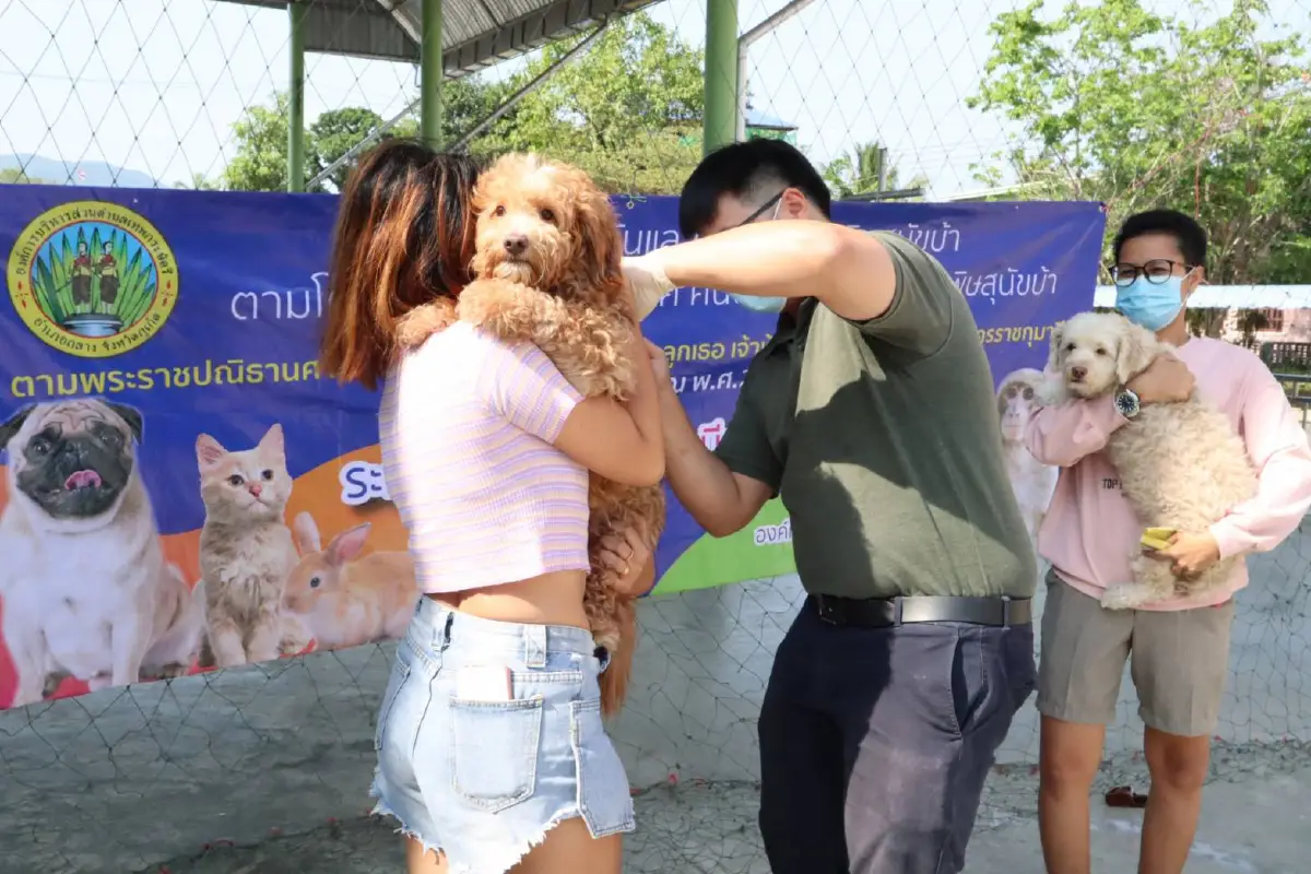 สถ.ตีปี๊บอปท.7,772แห่งทั่วประเทศฉีดวัคซีนป้องกันโรคพิษสุนัขบ้า