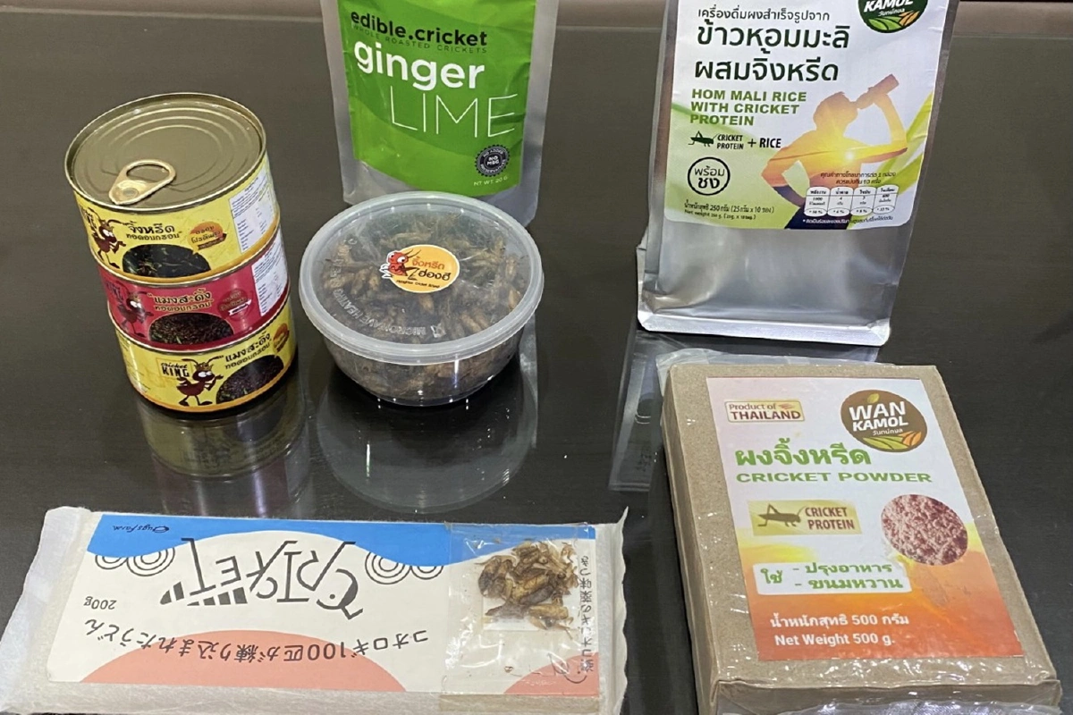 ก.เกษตรโชว์ความสำเร็จ!ฮับแมลงโลกเจาะตลาด3หมื่นล้าน