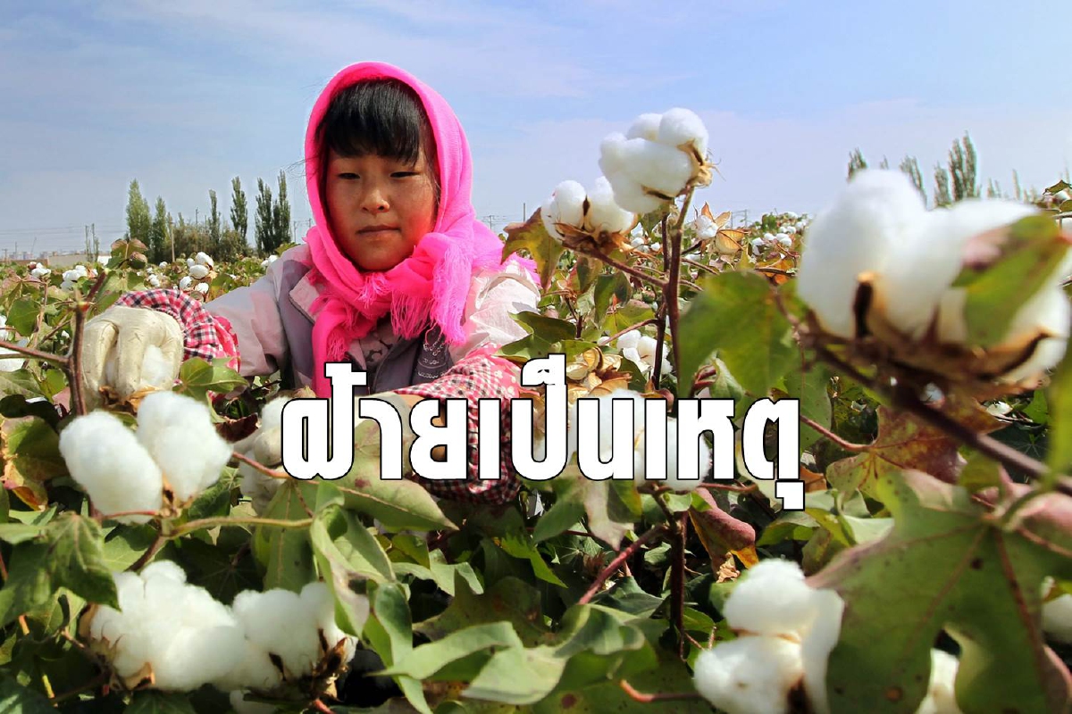 เมื่อตะวันตกตีแผ่พฤติกรรมร้ายๆ ของจีนกับคนในซินเจียง เมื่อตะวันตกตีแผ่พฤติกรรมร้ายๆ ของจีนกับคนในซินเจียง
