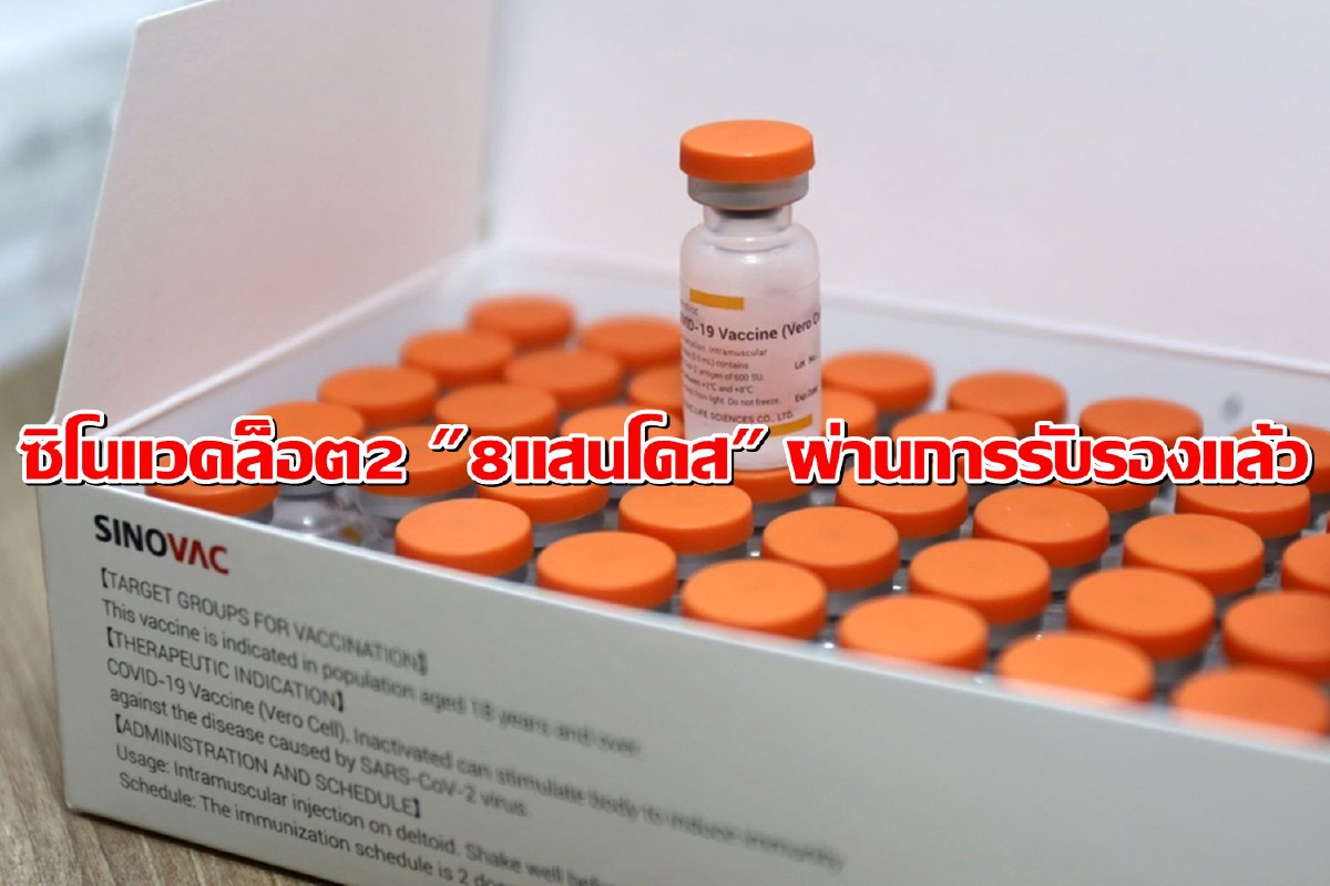 วัคซีนซิโนแวคล็อต2ผ่านการรับรองแล้วเร่งกระจายสู่กลุ่มเป้าหมาย วัคซีนซิโนแวคล็อต2ผ่านการรับรองแล้วเร่งกระจายสู่กลุ่มเป้าหมาย