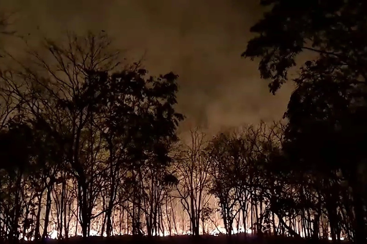 ไฟป่าไหม้เทือกเขาภูแลนคาเสียหายไม่ต่ำกว่า1,000ไร่ 