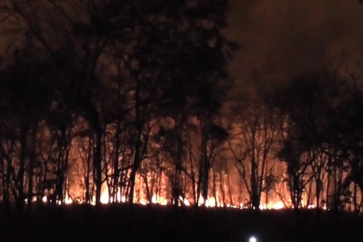 ไฟป่าไหม้เทือกเขาภูแลนคาเสียหายไม่ต่ำกว่า1,000ไร่ 