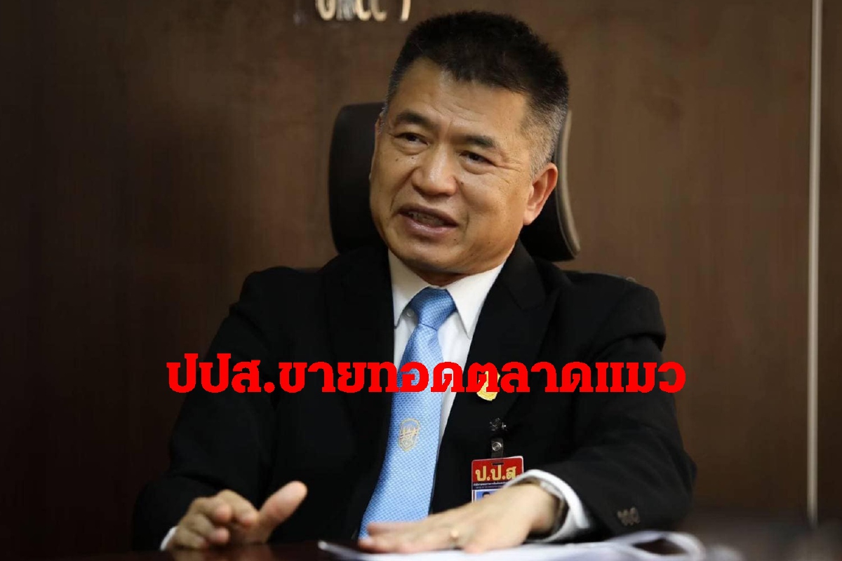ป.ป.ส.ภาค2ขายทอดตลาดแมวสายพันธุ์ตปท.6ตัว23เม.ย.นี้ ป.ป.ส.ภาค2ขายทอดตลาดแมวสายพันธุ์ตปท.6ตัว23เม.ย.นี้
