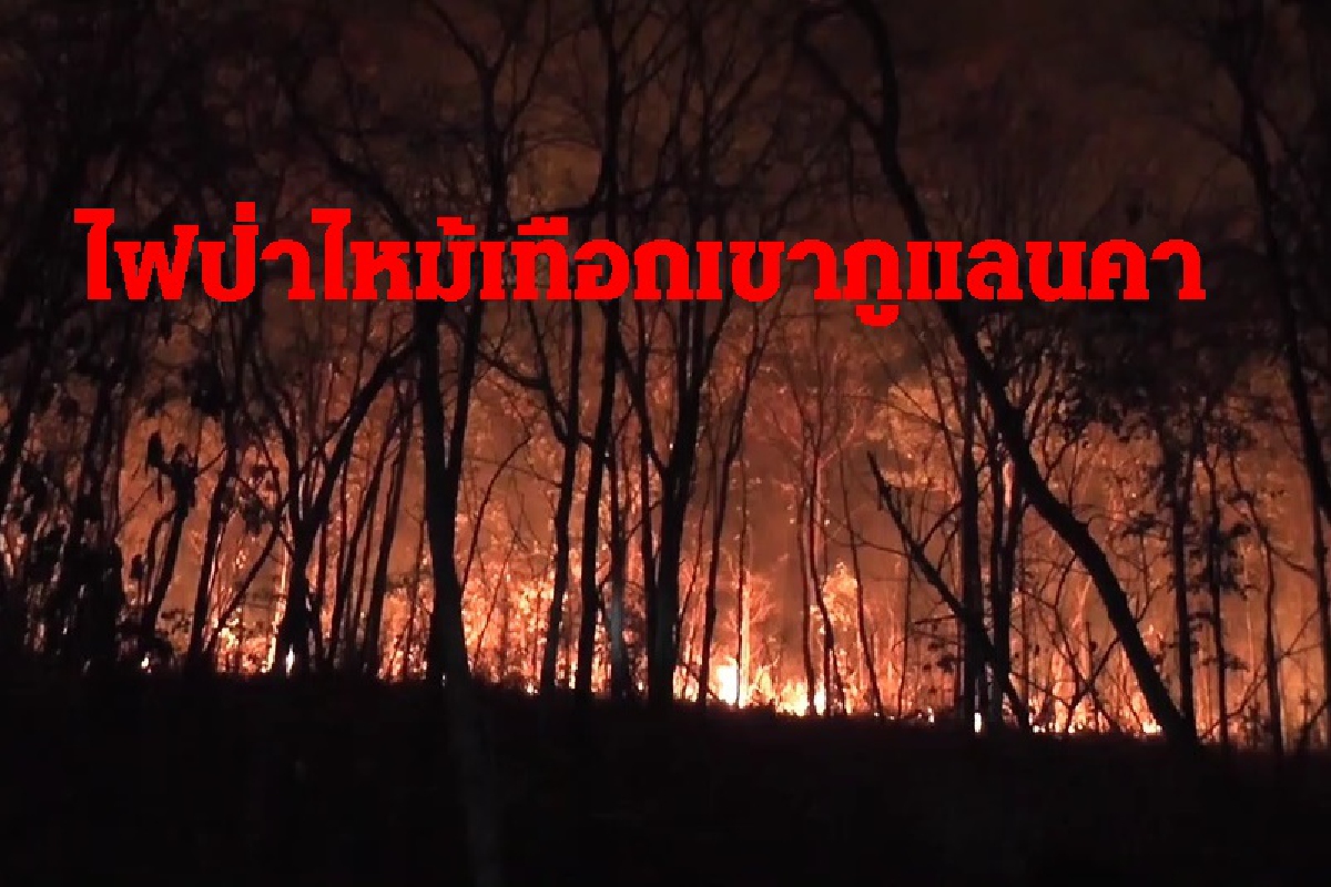 ไฟป่าไหม้เทือกเขาภูแลนคาเสียหายไม่ต่ำกว่า1,000ไร่ ไฟป่าไหม้เทือกเขาภูแลนคาเสียหายไม่ต่ำกว่า1,000ไร่
