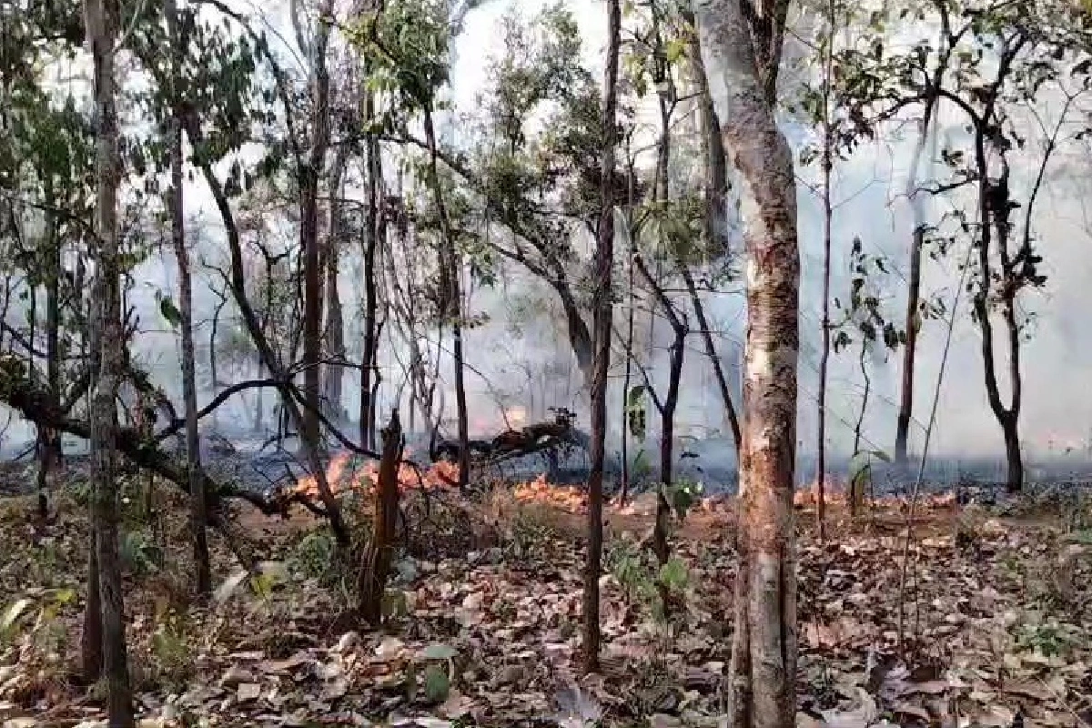 เชียงใหม่พบ264จุดความร้อน หนักสุดที่เชียงดาว ฝุ่นPm2.5กระทบสุขภาพ