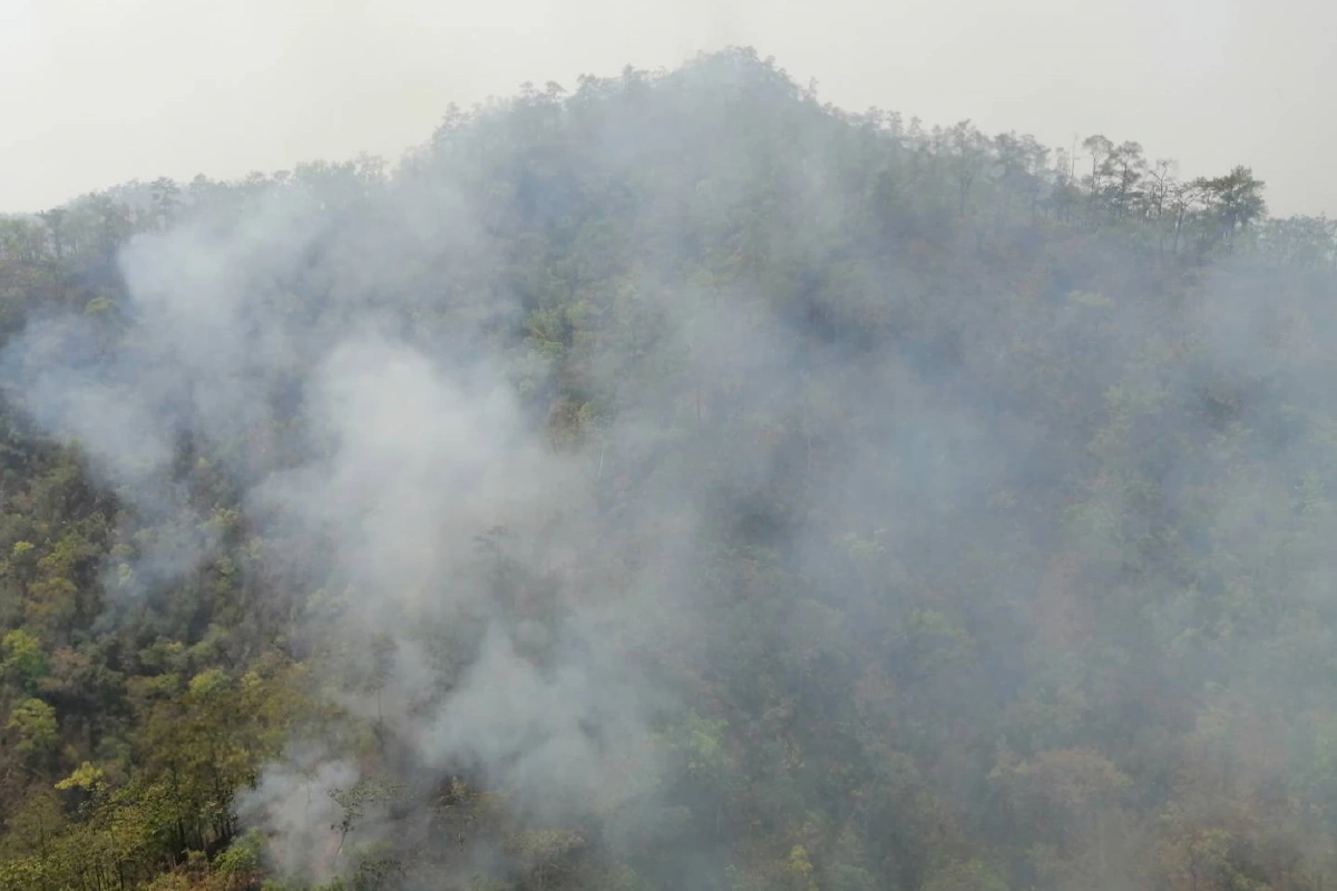 เชียงใหม่พบ264จุดความร้อน หนักสุดที่เชียงดาว ฝุ่นPm2.5กระทบสุขภาพ