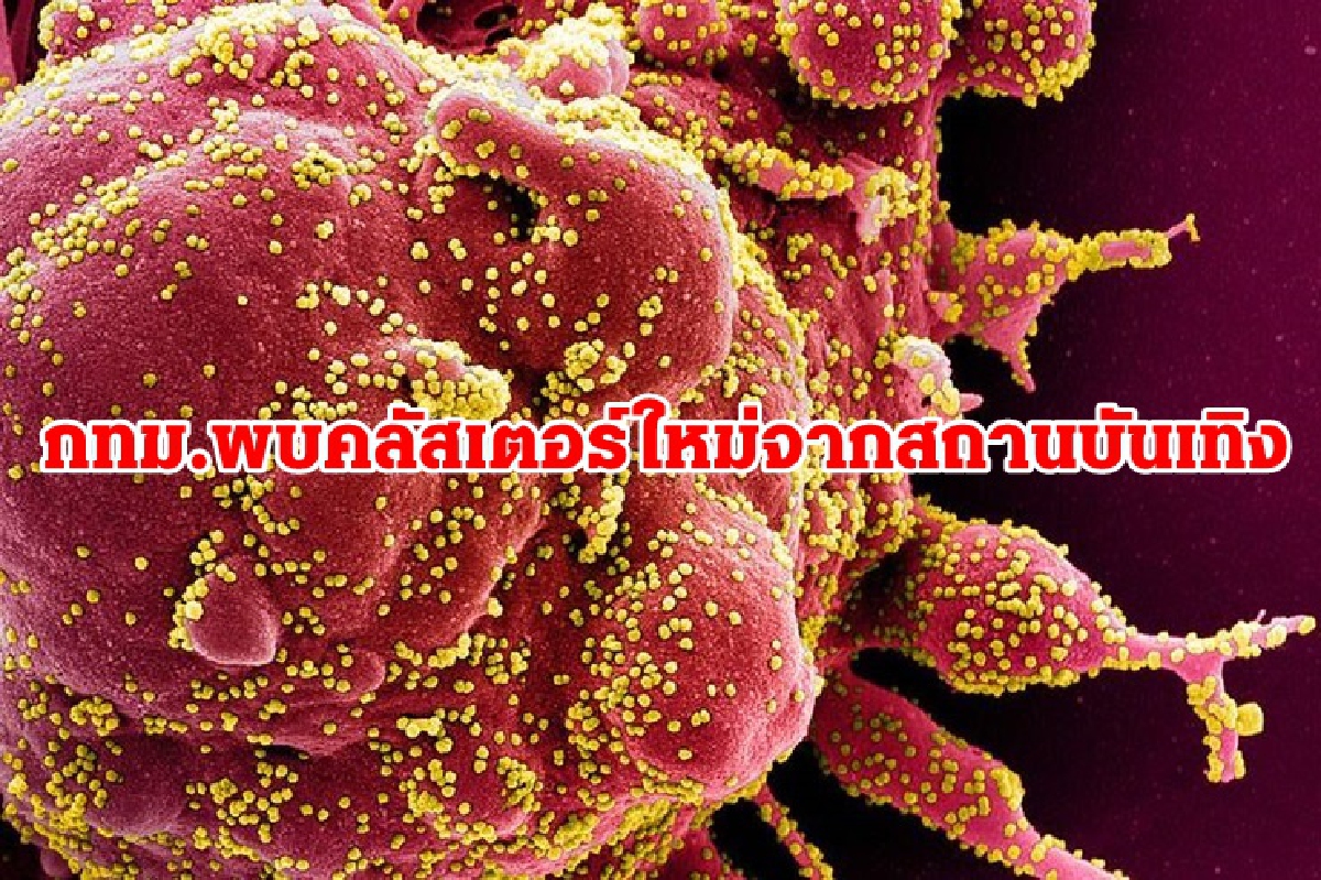 โควิดกทม.พุ่ง คลัสเตอร์ใหม่ผับย่านทองหล่อติด 13 ราย แจ้งคนเคยไป 3 ร้านดังรีบตรวจ โควิดกทม.พุ่ง คลัสเตอร์ใหม่ผับย่านทองหล่อติด 13 ราย แจ้งคนเคยไป 3 ร้านดังรีบตรวจ