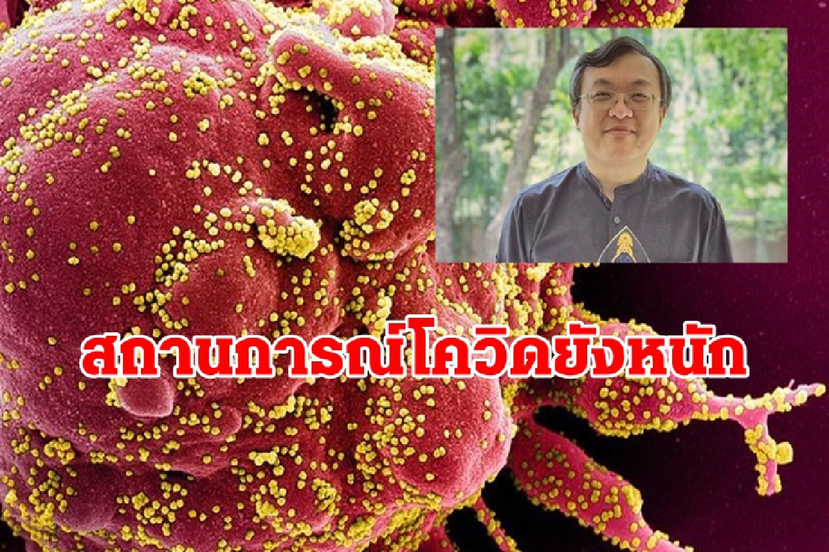 "หมอธีระ"เตือนโควิดยังหนัก แนะ สงกรานต์ งดตะลอนท่องเที่ยว พบปะสังสรรค์ "หมอธีระ"เตือนโควิดยังหนัก แนะ สงกรานต์ งดตะลอนท่องเที่ยว พบปะสังสรรค์