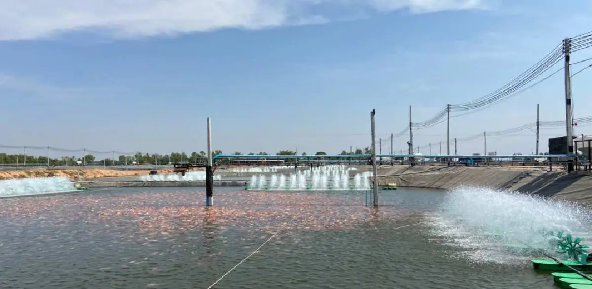 ซีพีเอฟ ชู CARE Aquaculture Model ยกระดับธุรกิจการเลี้ยงสัตว์น้ำจืด สร้างแหล่งอาหารมั่นคง ปลอดภัยให้ผู้บริโภค