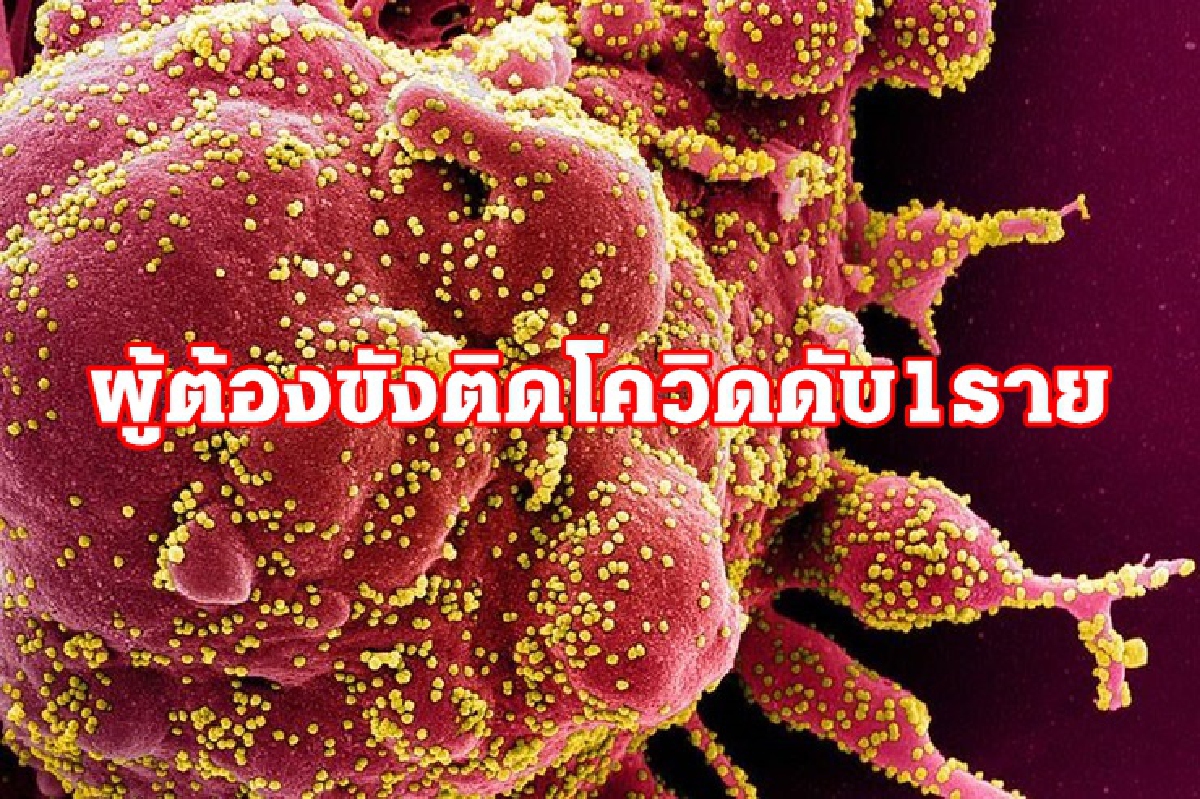 คุกนราธิวาส ผู้ต้องขังติดโควิดดับแล้ว 1 ราย ติดเชื้อรวม 278 ราย คุกนราธิวาส ผู้ต้องขังติดโควิดดับแล้ว 1 ราย ติดเชื้อรวม 278 ราย