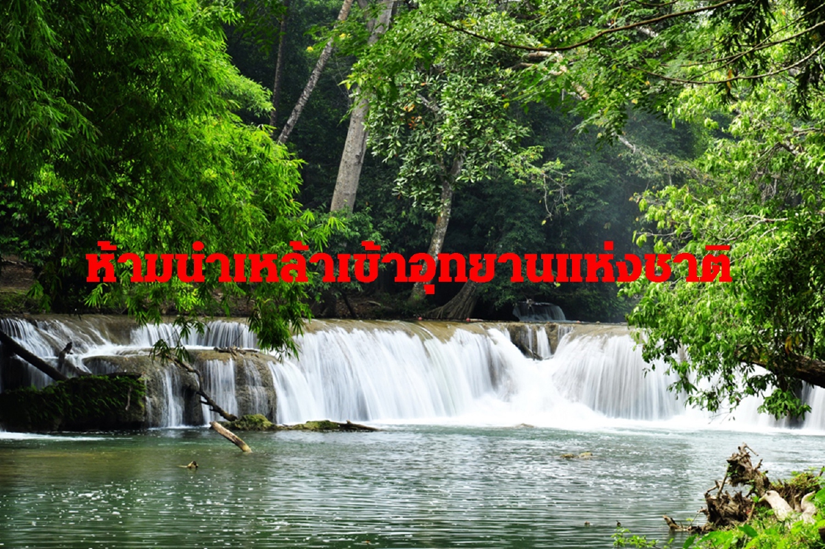 เครือข่ายองค์กรงดเหล้าเฝ้าระวังตั้งวงดื่มในอุทยานแห่งชาติ เครือข่ายองค์กรงดเหล้าเฝ้าระวังตั้งวงดื่มในอุทยานแห่งชาติ