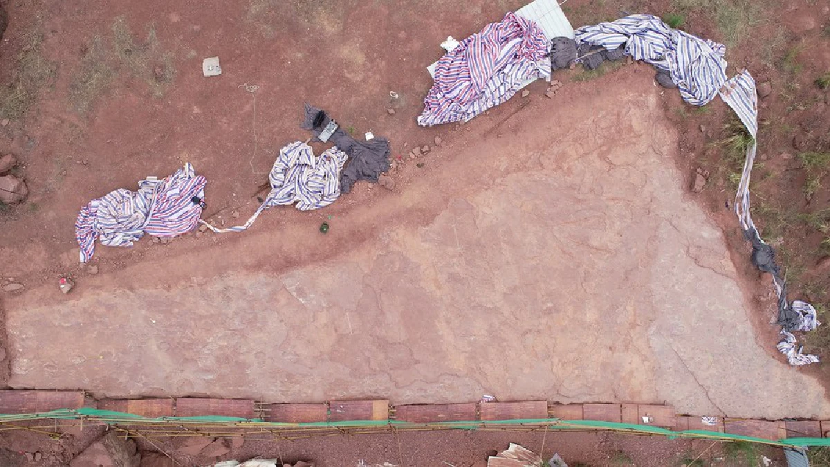 จีนค้นพบ 'ลานเต้นรำไดโนเสาร์' อายุ 80 ล้านปี