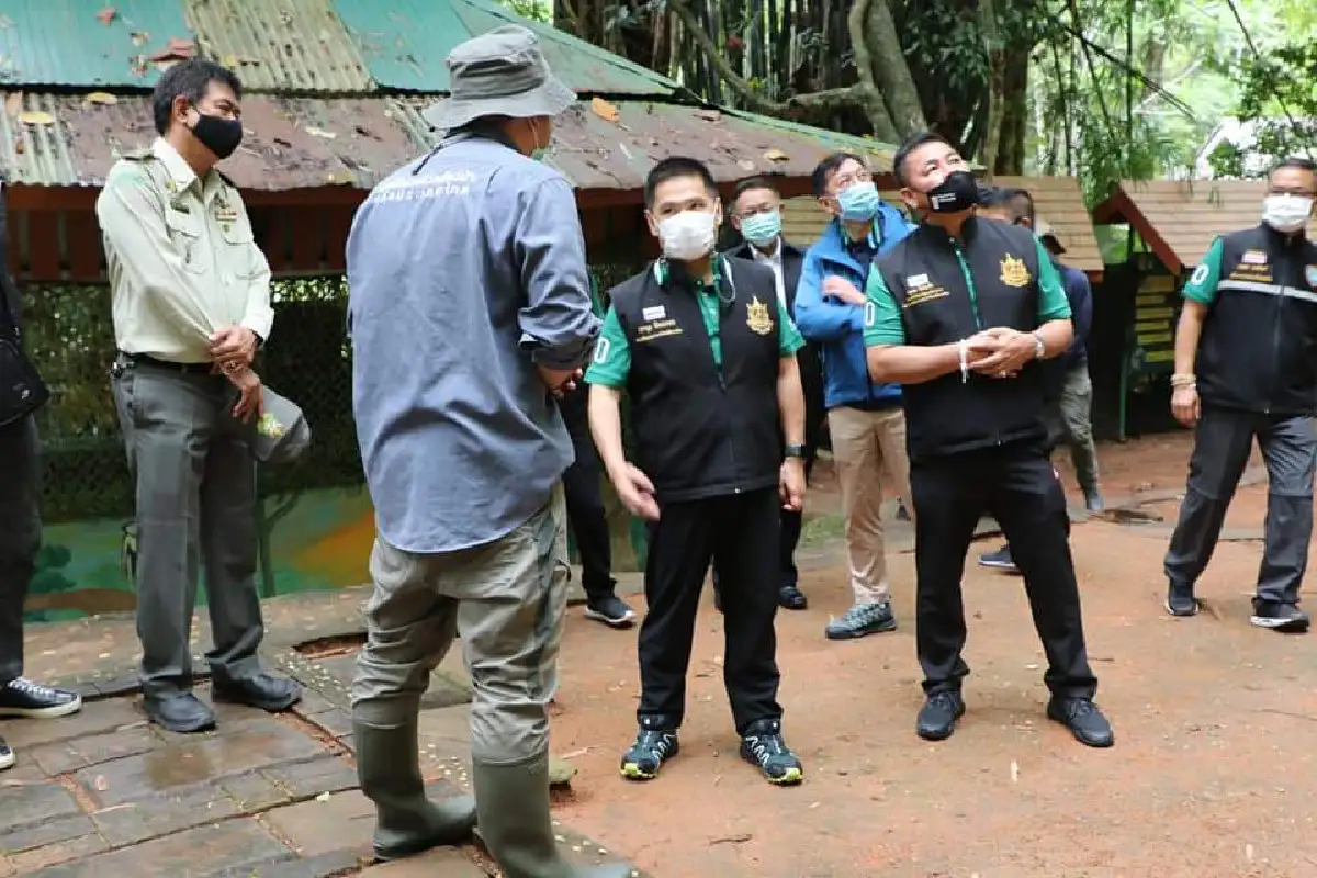 "วราวุธ"ลงพื้นที่ดูความเป็นอยู่ของชะนีในโครงการคืนชะนีสู่ป่า