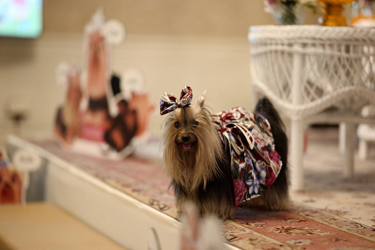 เจ้าฟ้าหญิงสิริวัณฯทรงเปิดตัวหนังสือ"สุนัขทรงเลี้ยงของเจ้าหญิง"