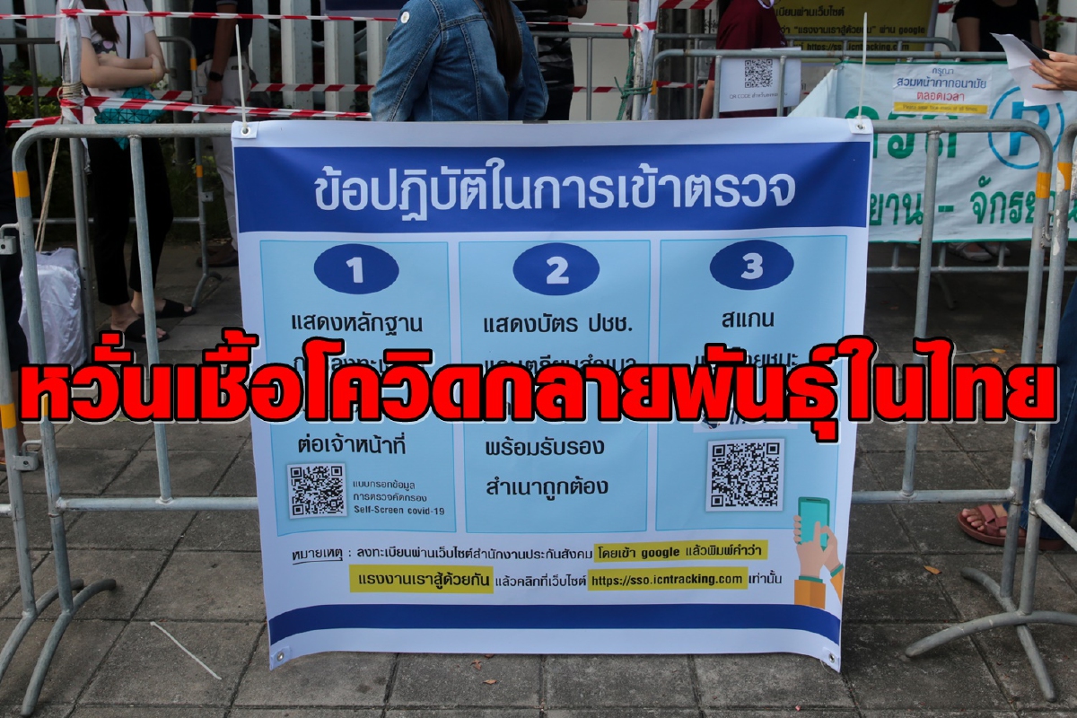 หวั่นระบาดหนักทำโควิดกลายพันธุ์ในไทย แนะรัฐเร่งตรวจเชื้อให้มากที่สุด หวั่นระบาดหนักทำโควิดกลายพันธุ์ในไทย แนะรัฐเร่งตรวจเชื้อให้มากที่สุด