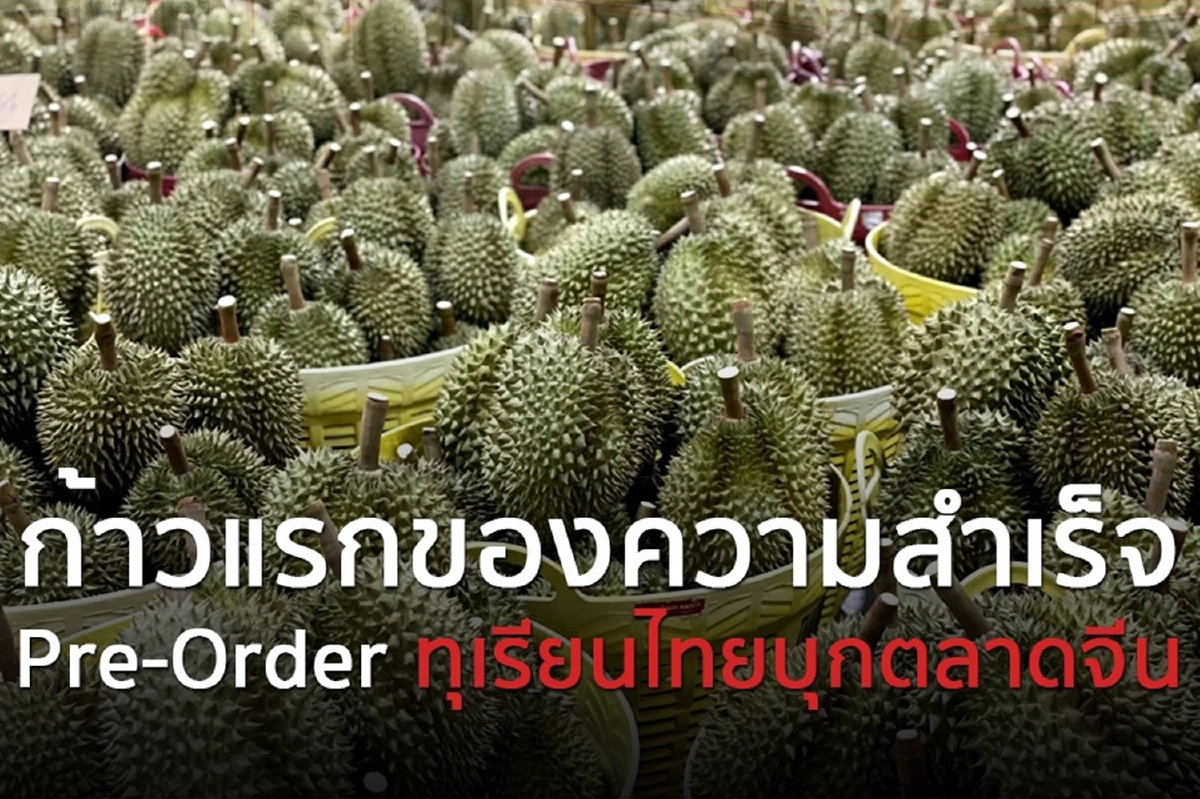 จีนปลื้มแบรนด์ทุเรียนไทยสั่งซื้อแบบพรีออเดอร์ครั้งแรก20ตัน
